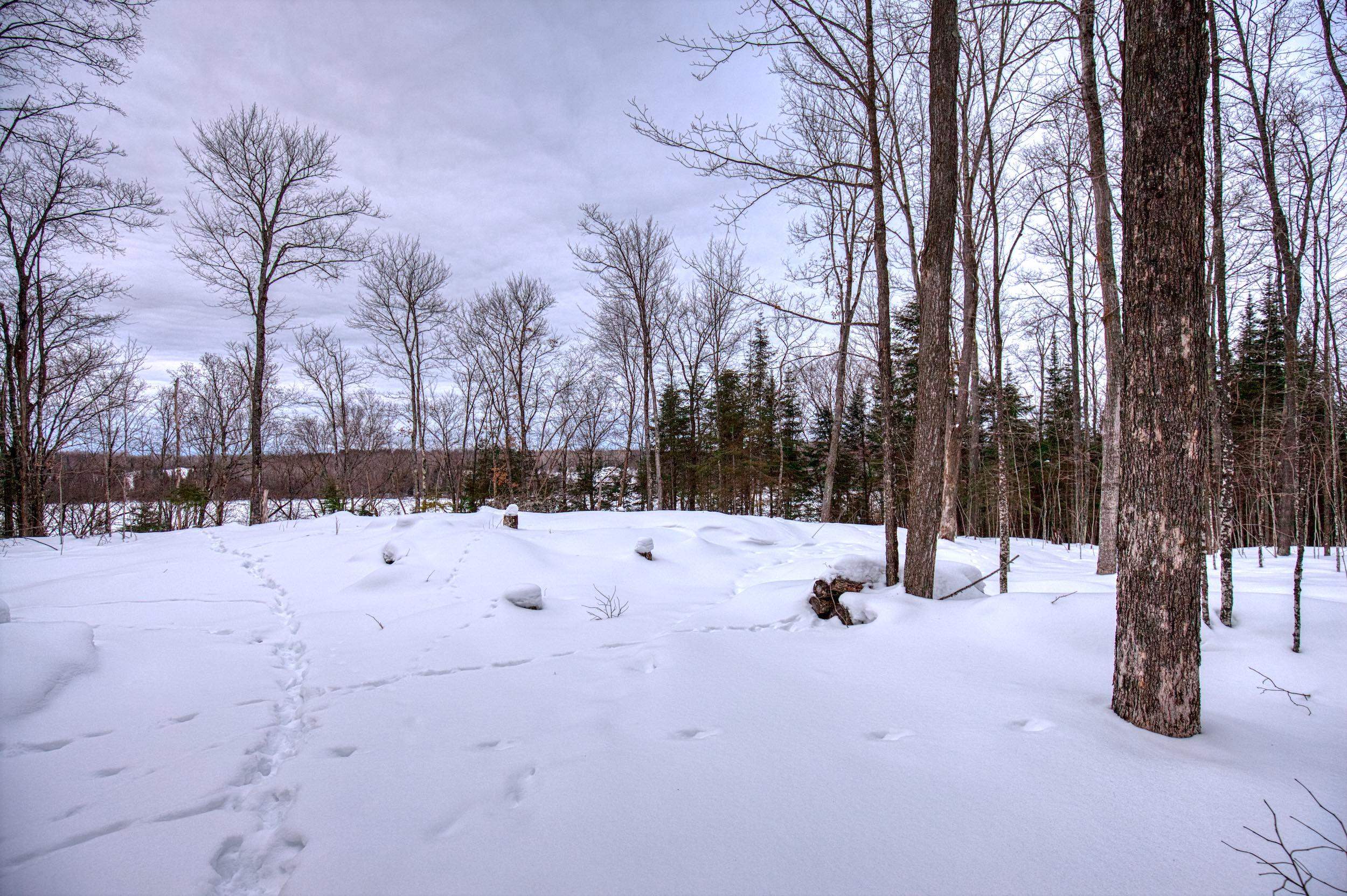 N16381 SAND COVE POINTE ROAD, Park Falls, Wisconsin 54552, ,Land,For Sale,N16381 SAND COVE POINTE ROAD,22600447