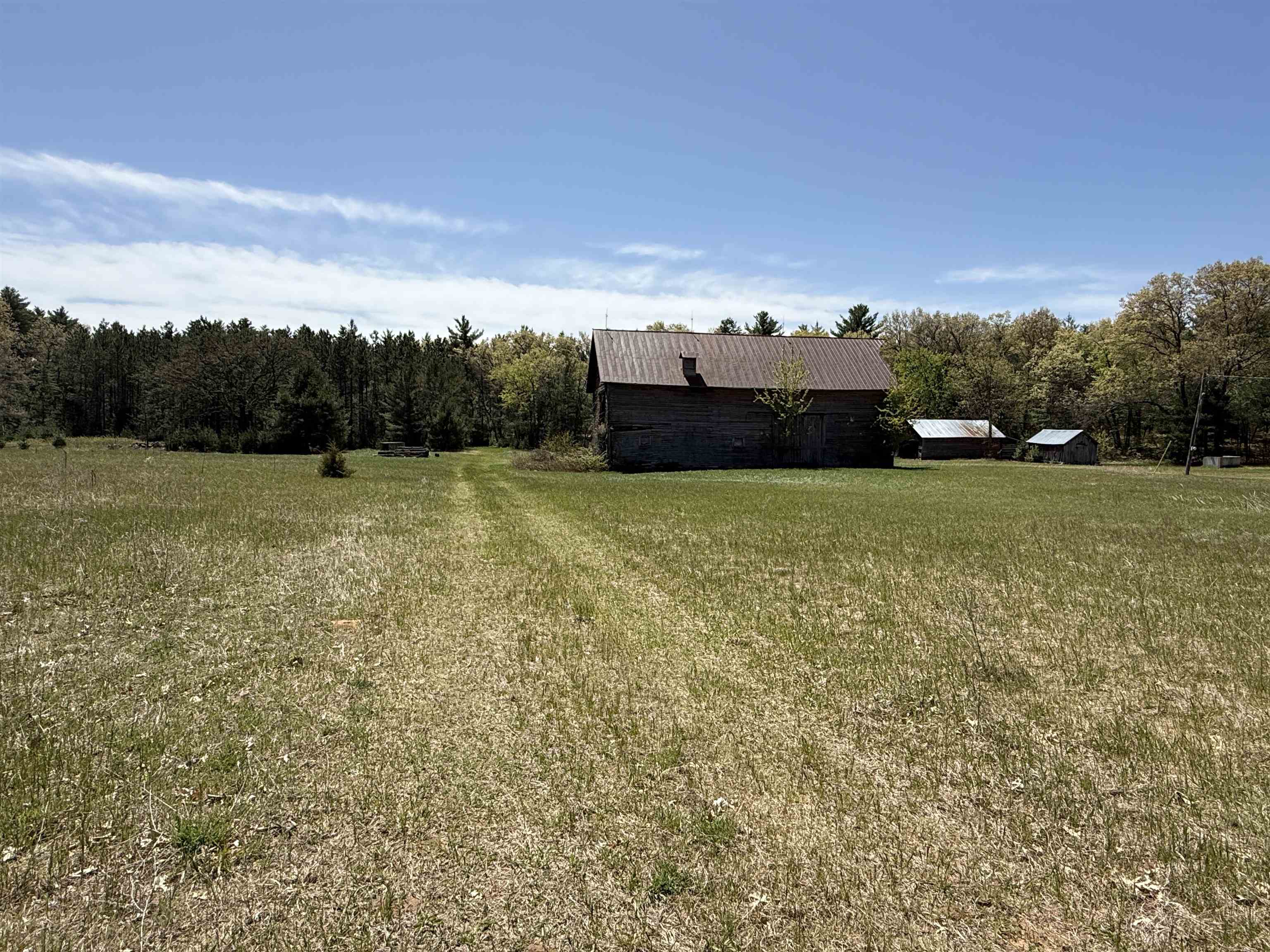 1751 BUTTERCUP AVENUE, Arkdale, Wisconsin 54613, 3 Bedrooms Bedrooms, ,1 BathroomBathrooms,Residential,For Sale,1751 BUTTERCUP AVENUE,22600459