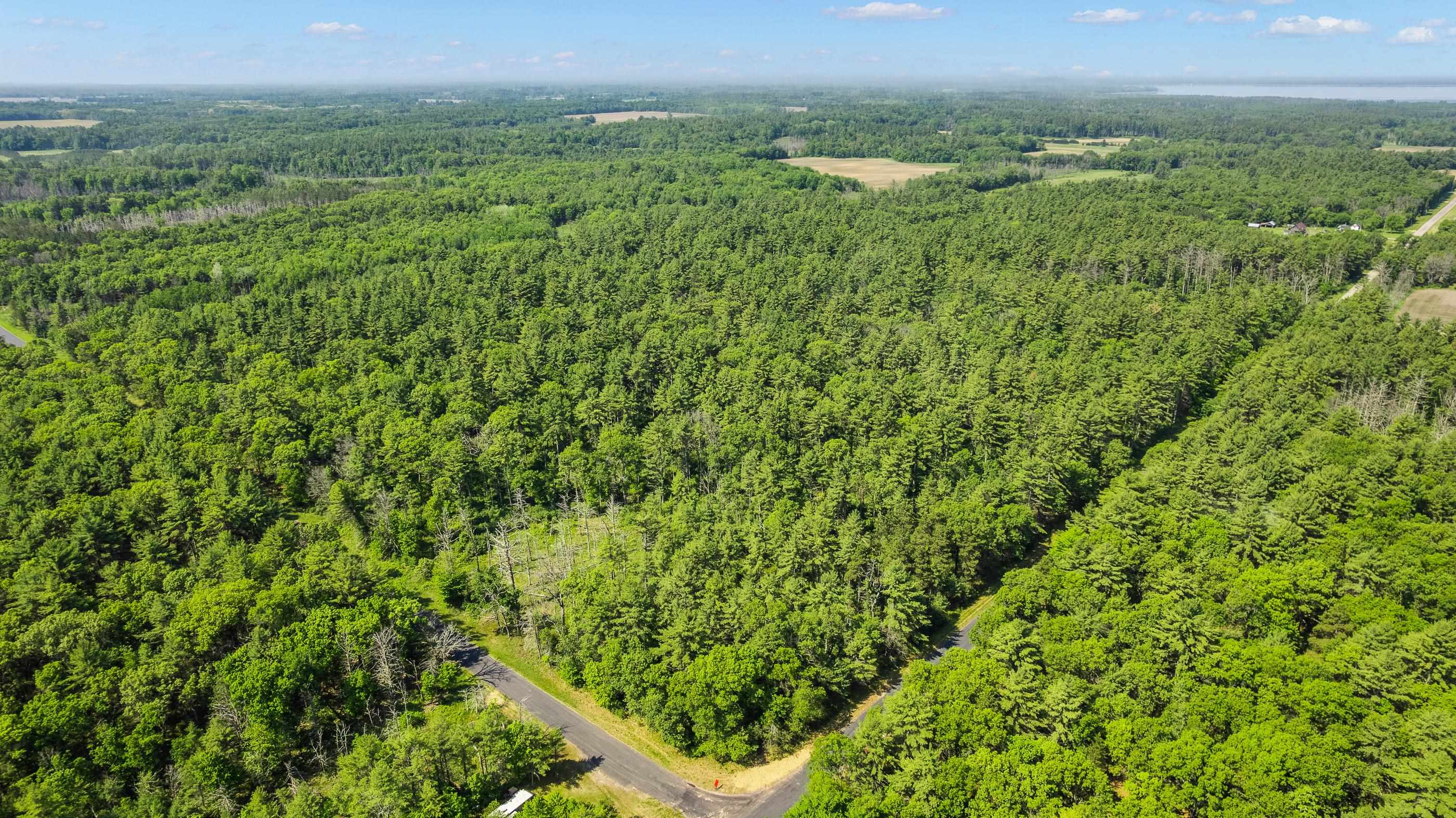 1751 BUTTERCUP AVENUE, Arkdale, Wisconsin 54613, 3 Bedrooms Bedrooms, ,1 BathroomBathrooms,Residential,For Sale,1751 BUTTERCUP AVENUE,22600459