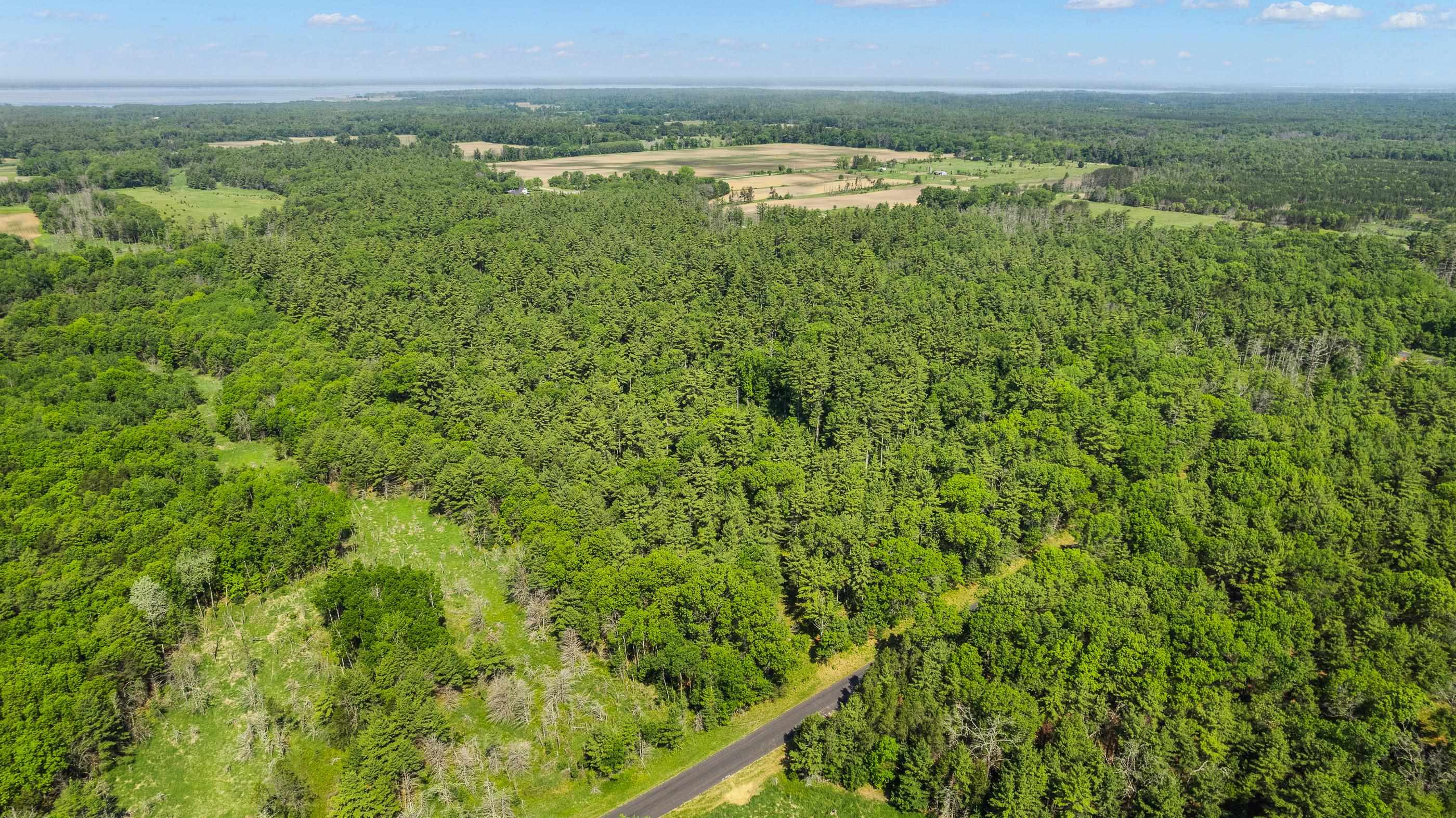 1751 BUTTERCUP AVENUE, Arkdale, Wisconsin 54613, 3 Bedrooms Bedrooms, ,1 BathroomBathrooms,Residential,For Sale,1751 BUTTERCUP AVENUE,22600459