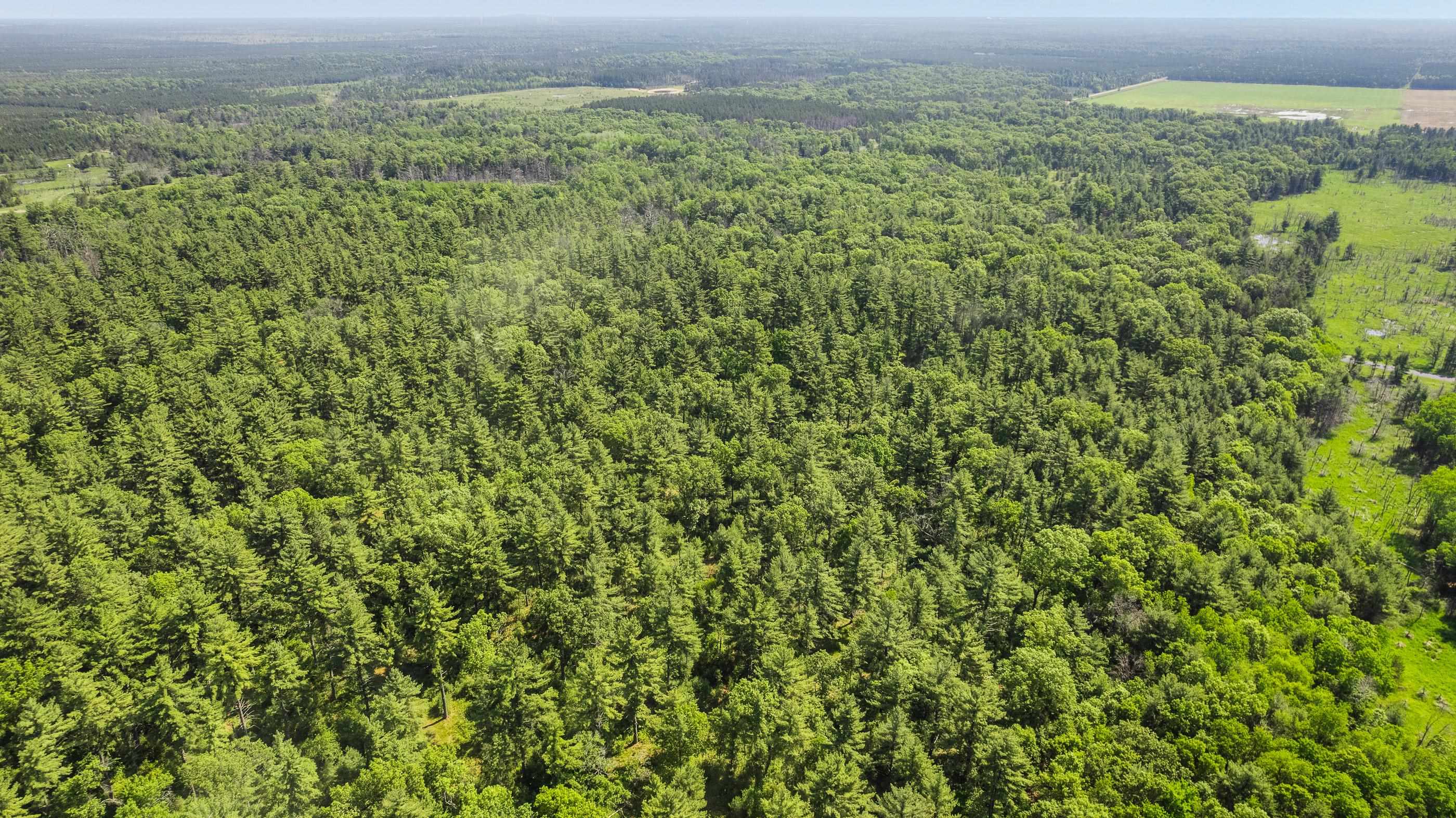 1751 BUTTERCUP AVENUE, Arkdale, Wisconsin 54613, 3 Bedrooms Bedrooms, ,1 BathroomBathrooms,Residential,For Sale,1751 BUTTERCUP AVENUE,22600459