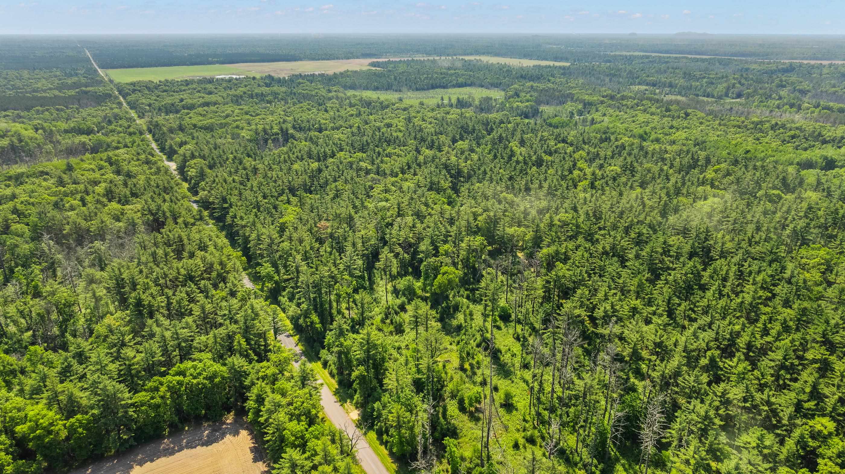 1751 BUTTERCUP AVENUE, Arkdale, Wisconsin 54613, 3 Bedrooms Bedrooms, ,1 BathroomBathrooms,Residential,For Sale,1751 BUTTERCUP AVENUE,22600459