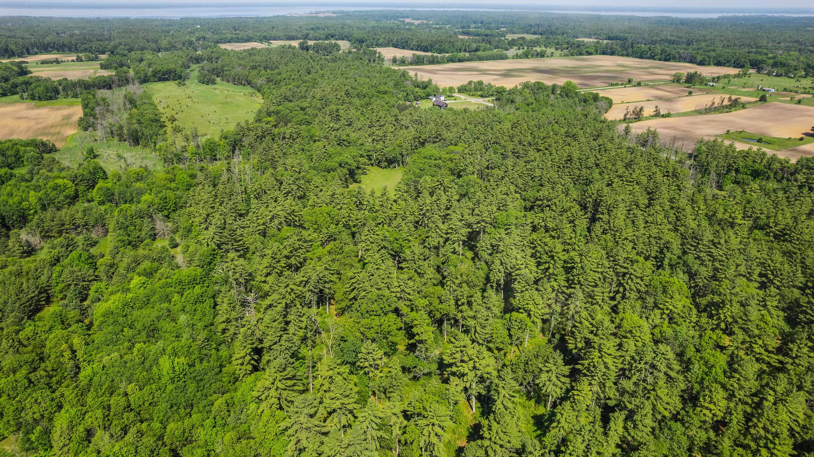 1751 BUTTERCUP AVENUE, Arkdale, Wisconsin 54613, 3 Bedrooms Bedrooms, ,1 BathroomBathrooms,Residential,For Sale,1751 BUTTERCUP AVENUE,22600459