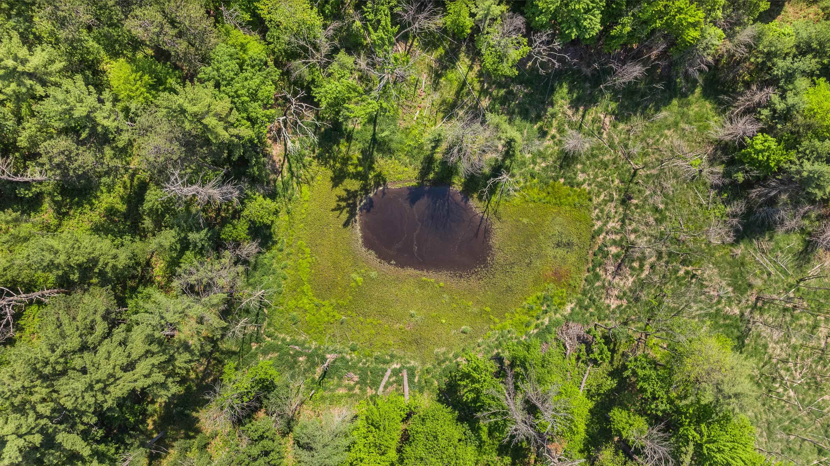 1751 BUTTERCUP AVENUE, Arkdale, Wisconsin 54613, 3 Bedrooms Bedrooms, ,1 BathroomBathrooms,Residential,For Sale,1751 BUTTERCUP AVENUE,22600459