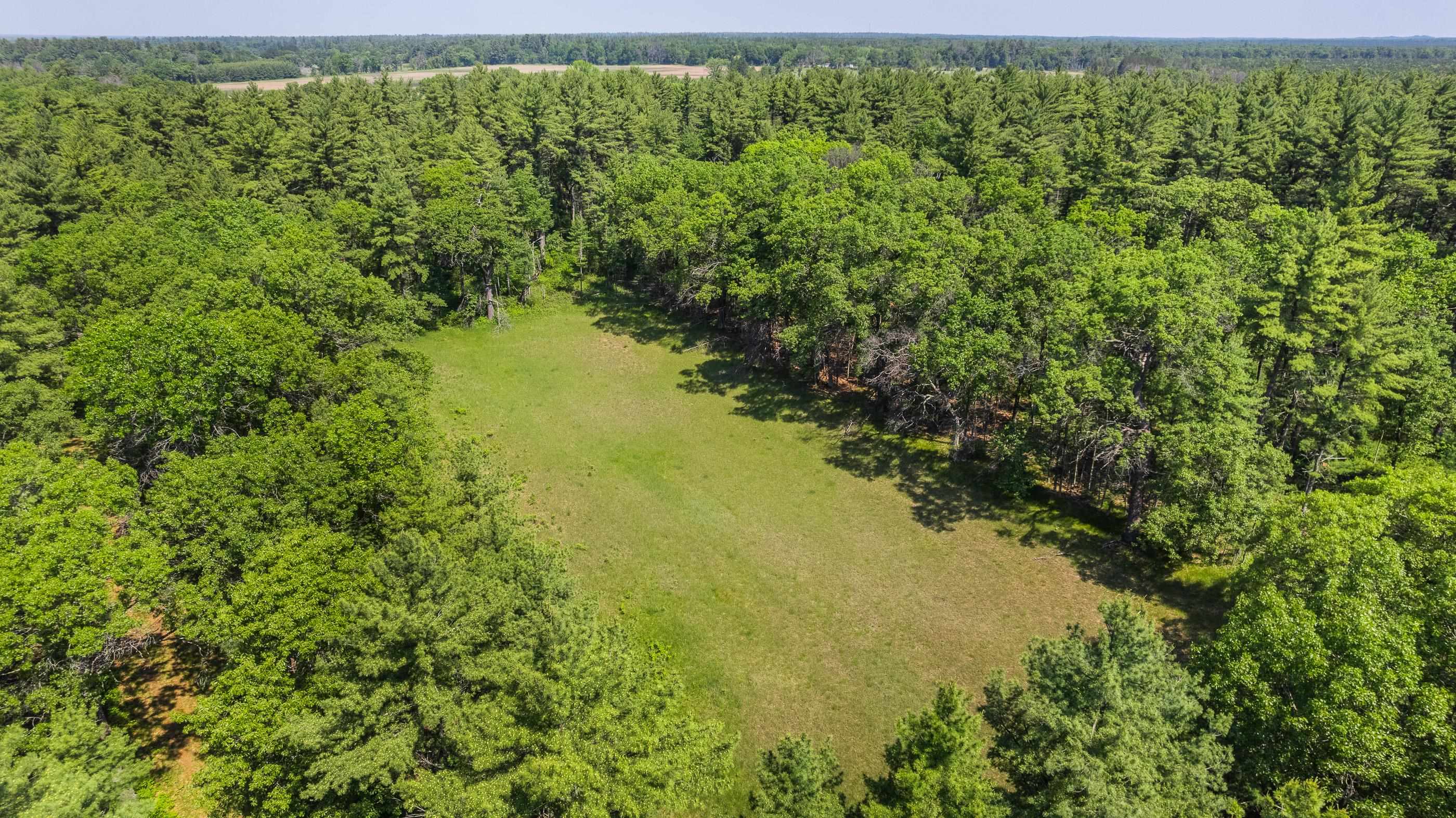 1751 BUTTERCUP AVENUE, Arkdale, Wisconsin 54613, 3 Bedrooms Bedrooms, ,1 BathroomBathrooms,Residential,For Sale,1751 BUTTERCUP AVENUE,22600459