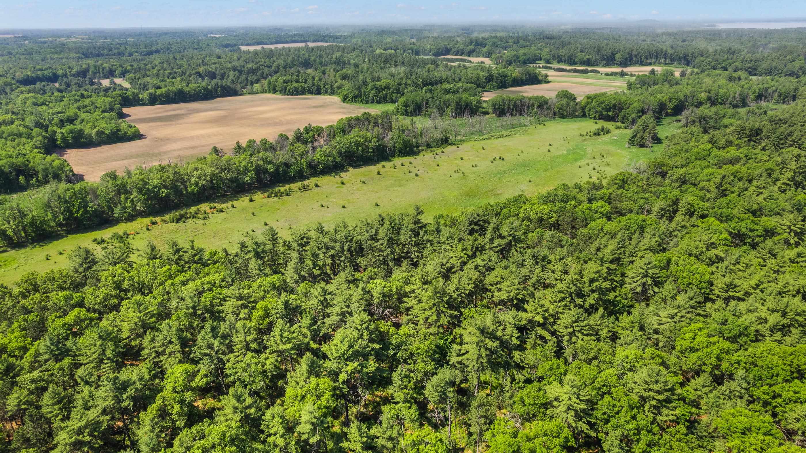 1751 BUTTERCUP AVENUE, Arkdale, Wisconsin 54613, 3 Bedrooms Bedrooms, ,1 BathroomBathrooms,Residential,For Sale,1751 BUTTERCUP AVENUE,22600459
