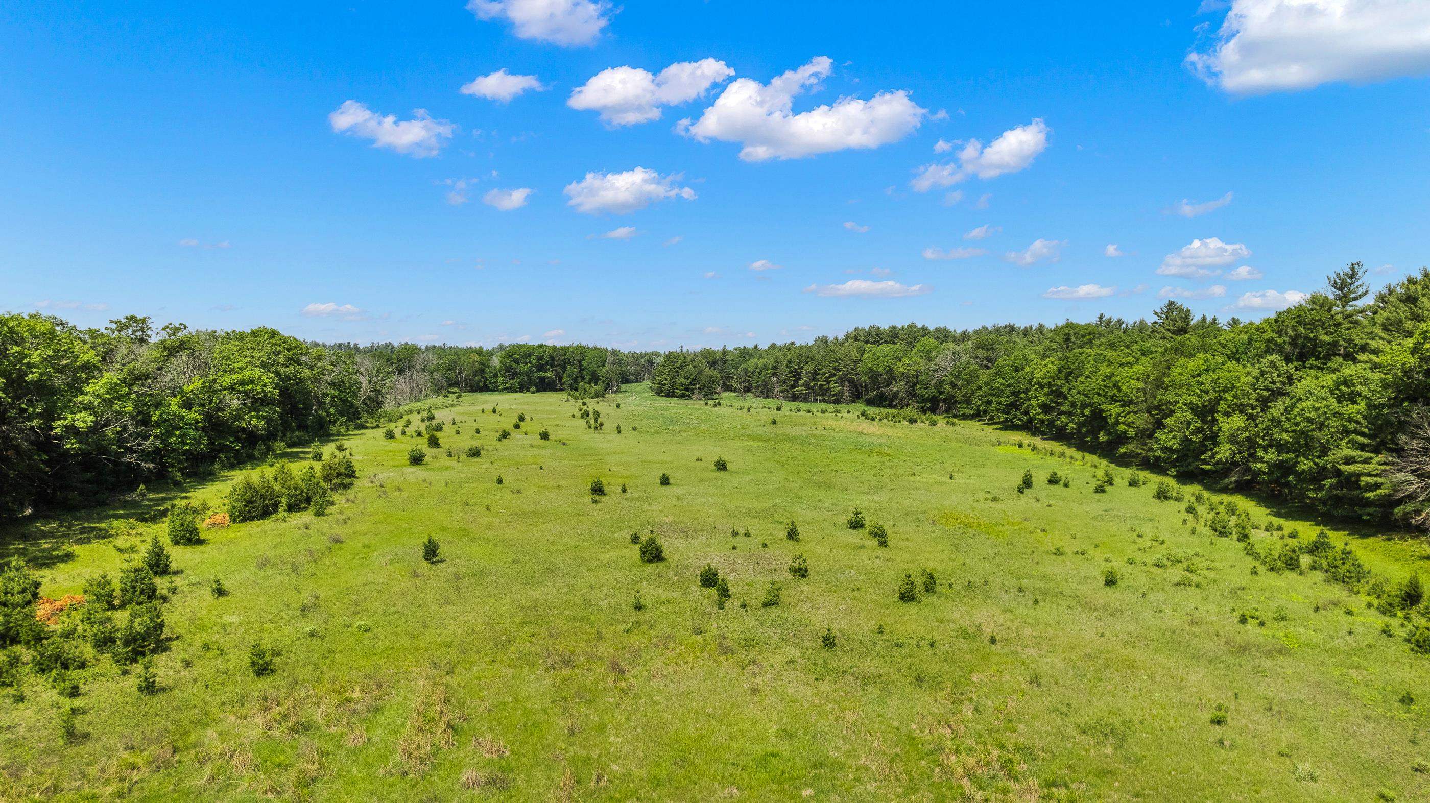 1751 BUTTERCUP AVENUE, Arkdale, Wisconsin 54613, 3 Bedrooms Bedrooms, ,1 BathroomBathrooms,Residential,For Sale,1751 BUTTERCUP AVENUE,22600459