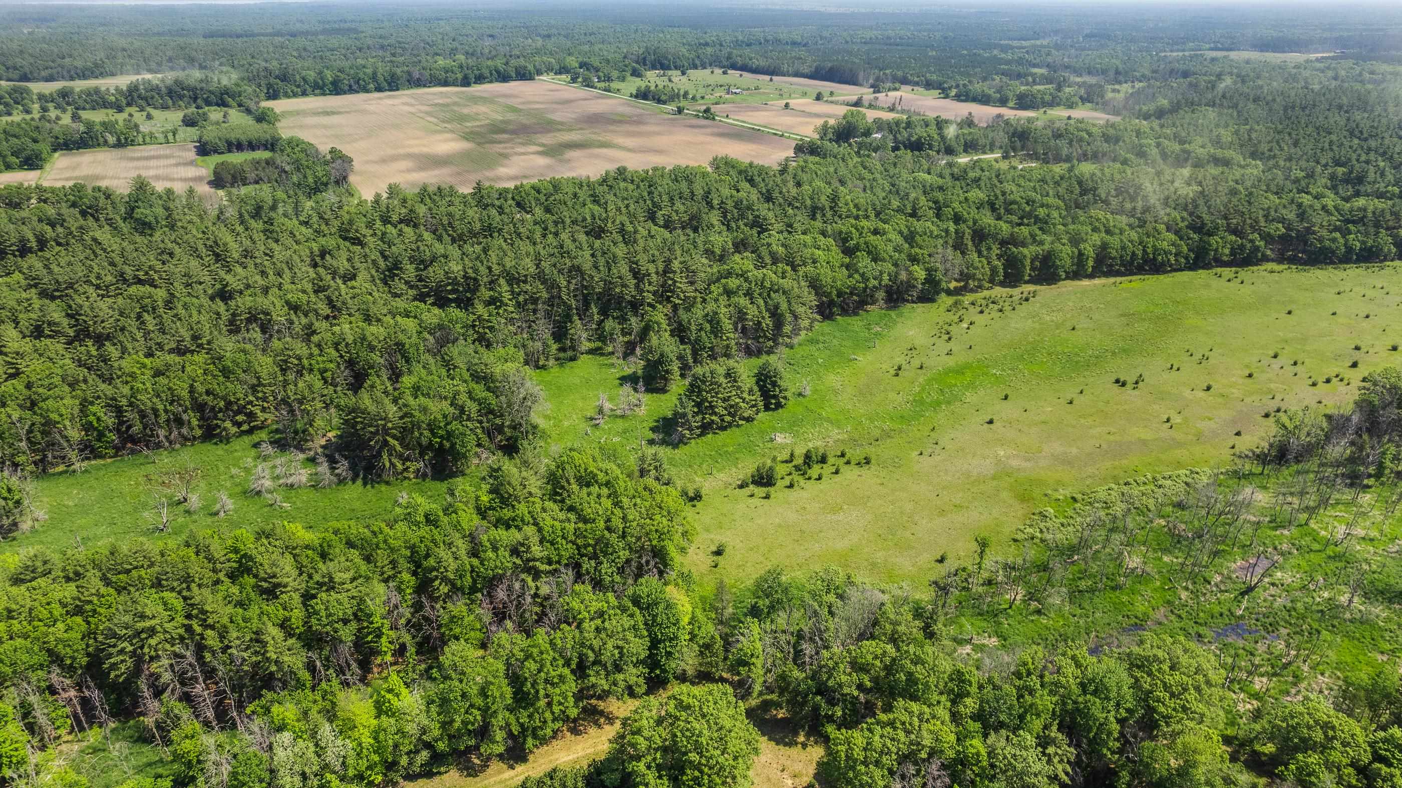 1751 BUTTERCUP AVENUE, Arkdale, Wisconsin 54613, 3 Bedrooms Bedrooms, ,1 BathroomBathrooms,Residential,For Sale,1751 BUTTERCUP AVENUE,22600459