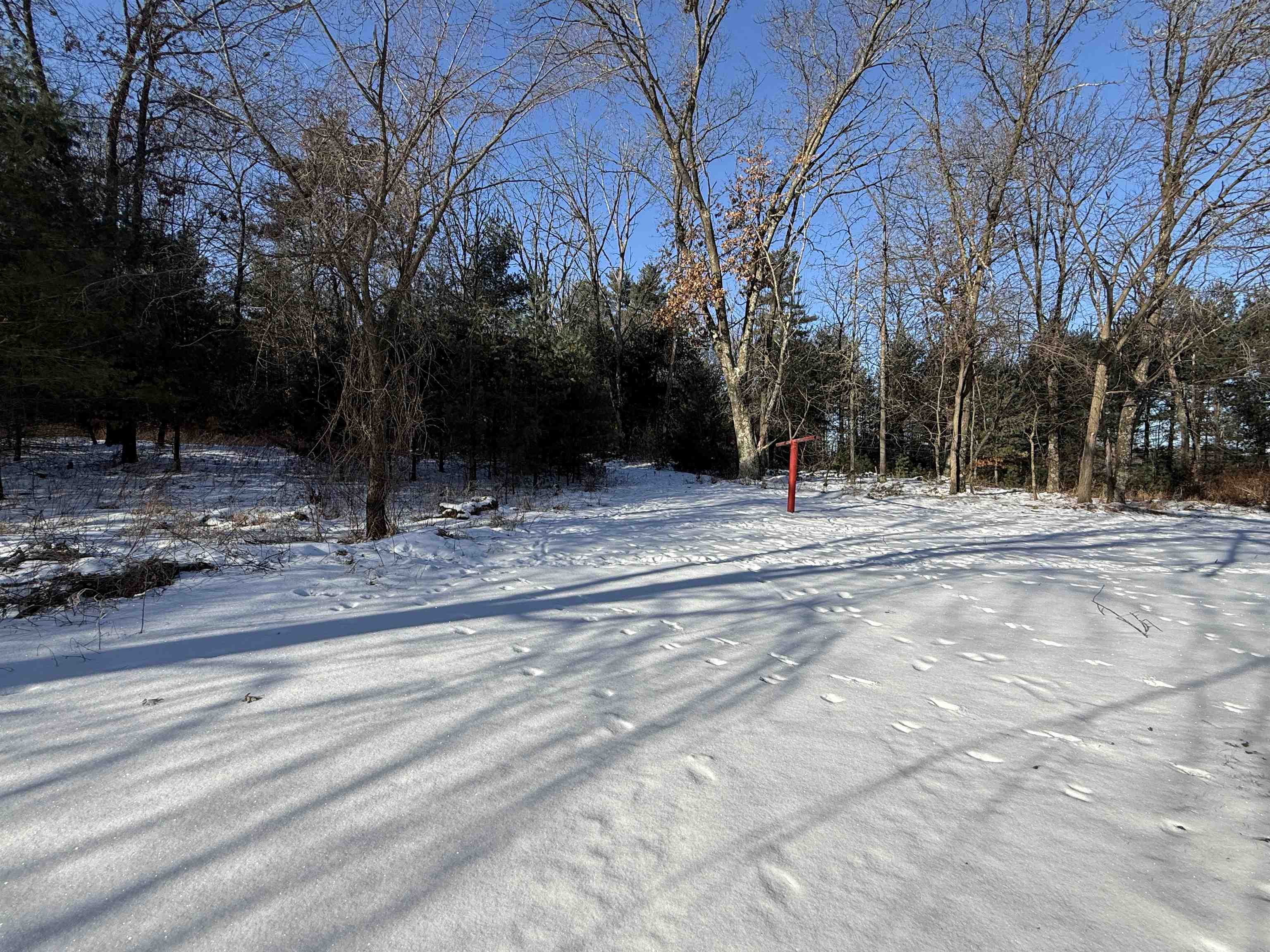 1751 BUTTERCUP AVENUE, Arkdale, Wisconsin 54613, 3 Bedrooms Bedrooms, ,1 BathroomBathrooms,Residential,For Sale,1751 BUTTERCUP AVENUE,22600459