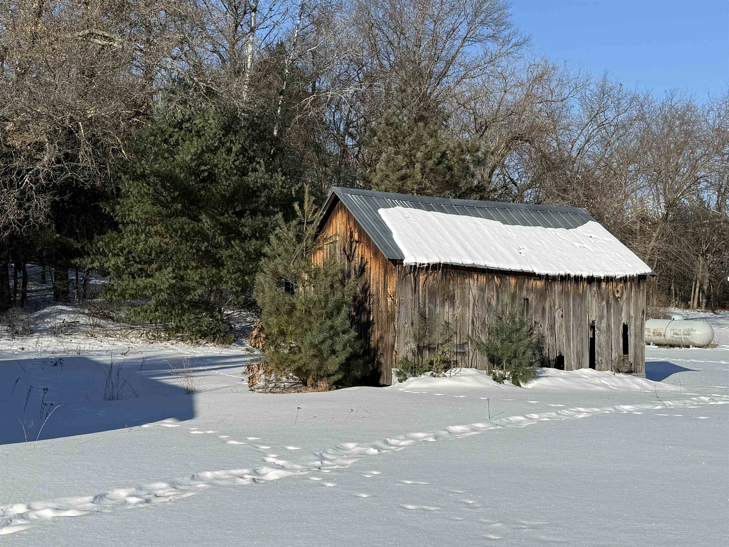 1751 BUTTERCUP AVENUE, Arkdale, Wisconsin 54613, 3 Bedrooms Bedrooms, ,1 BathroomBathrooms,Residential,For Sale,1751 BUTTERCUP AVENUE,22600459