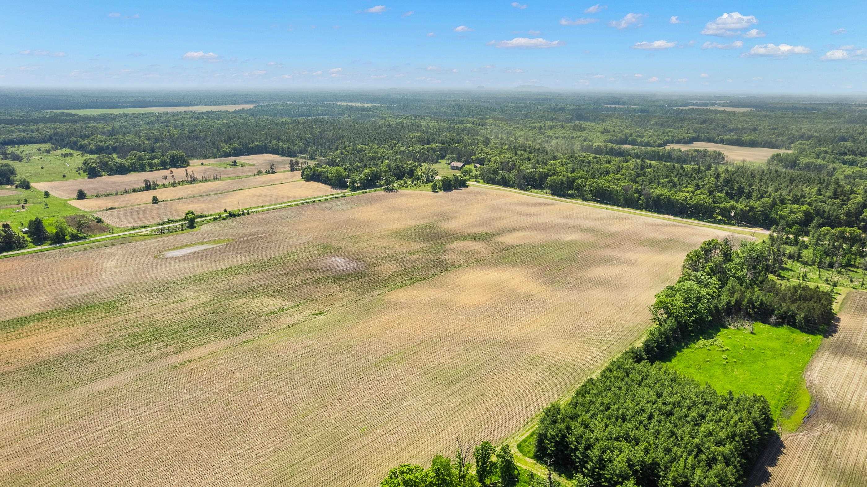 Lot 1-3 BUTTERCUP AVENUE, Arkdale, Wisconsin 54613, ,Land,For Sale,Lot 1-3 BUTTERCUP AVENUE,22600460