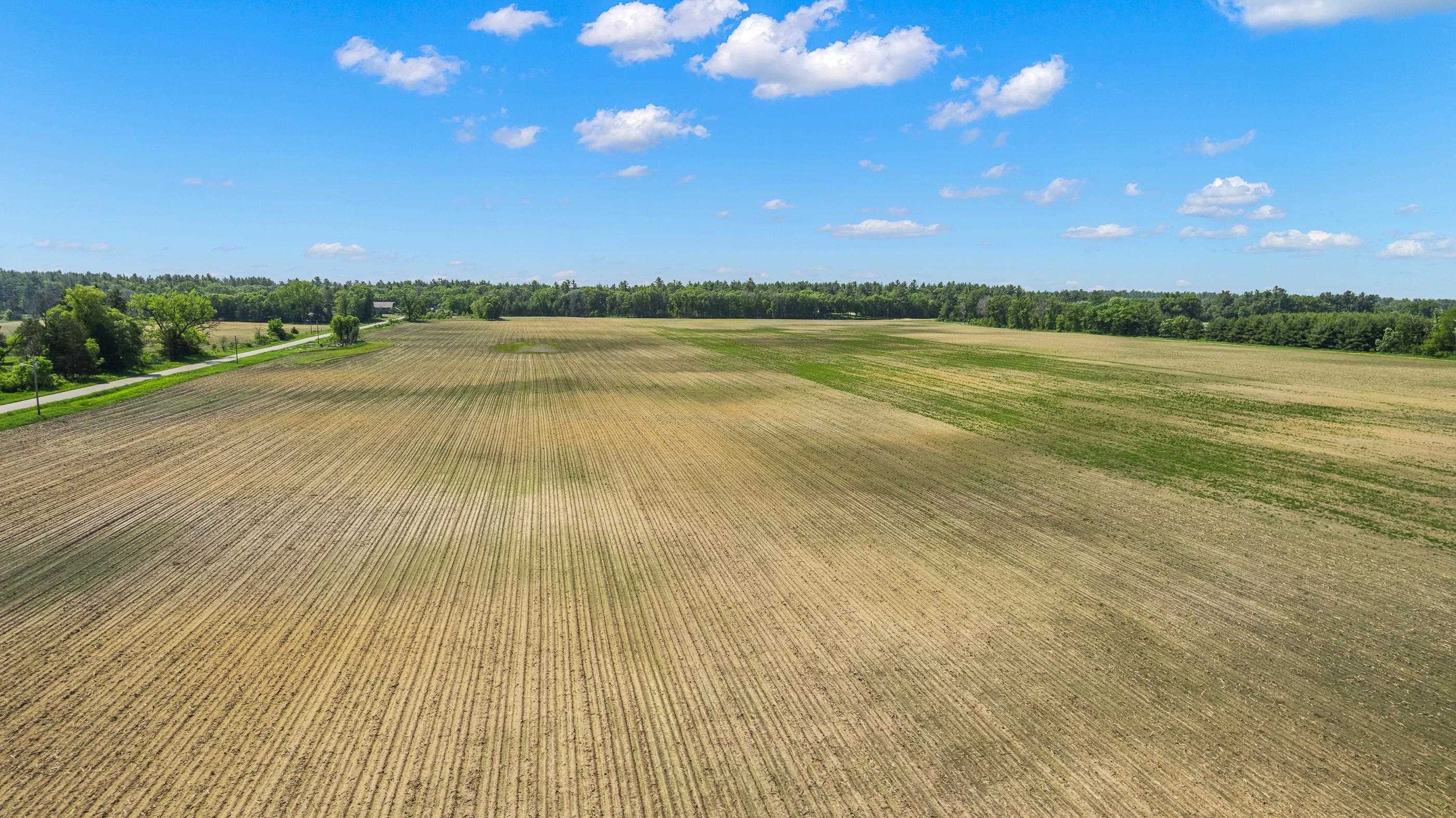 Lot 1-3 BUTTERCUP AVENUE, Arkdale, Wisconsin 54613, ,Land,For Sale,Lot 1-3 BUTTERCUP AVENUE,22600460