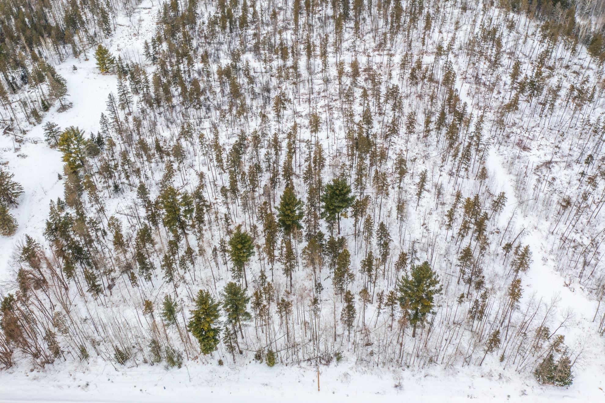 38.92 Acres COUNTY ROAD L, Athens, Wisconsin 54411, ,Land,For Sale,38.92 Acres COUNTY ROAD L,22600463