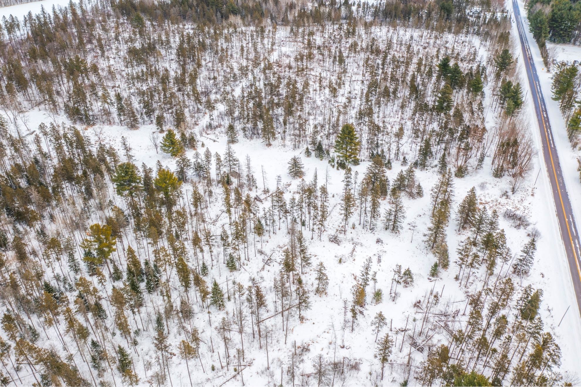 38.92 Acres COUNTY ROAD L, Athens, Wisconsin 54411, ,Land,For Sale,38.92 Acres COUNTY ROAD L,22600463