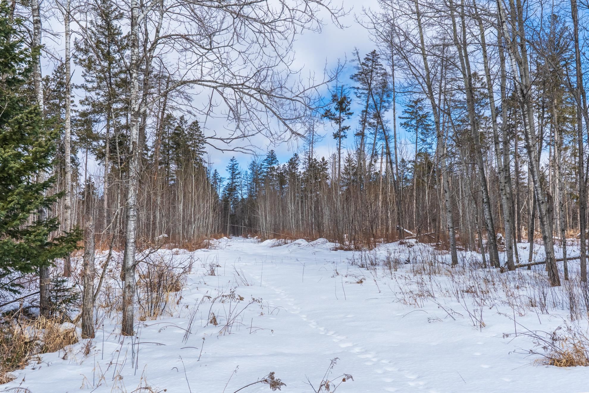 38.92 Acres COUNTY ROAD L, Athens, Wisconsin 54411, ,Land,For Sale,38.92 Acres COUNTY ROAD L,22600463