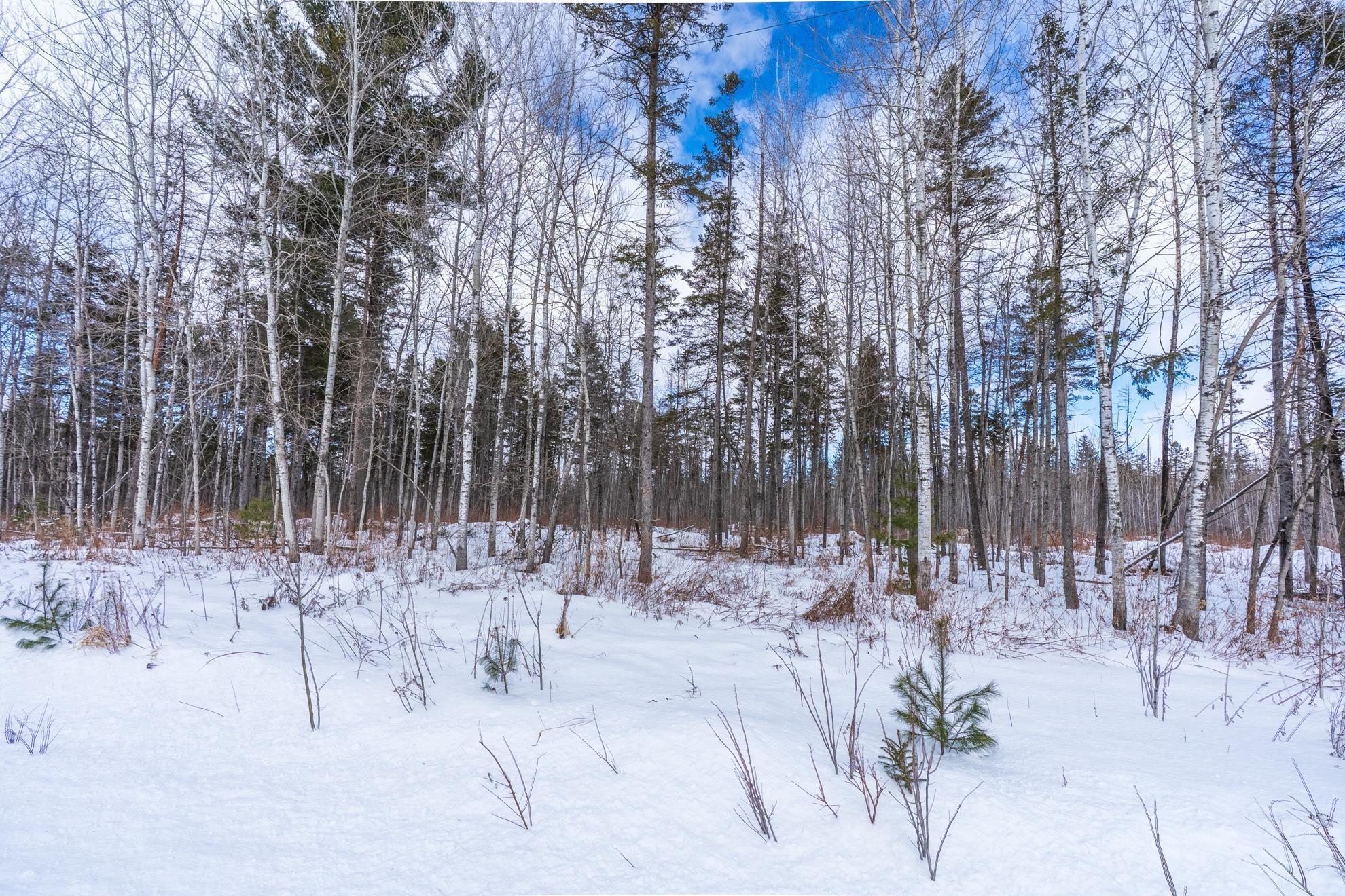 38.92 Acres COUNTY ROAD L, Athens, Wisconsin 54411, ,Land,For Sale,38.92 Acres COUNTY ROAD L,22600463