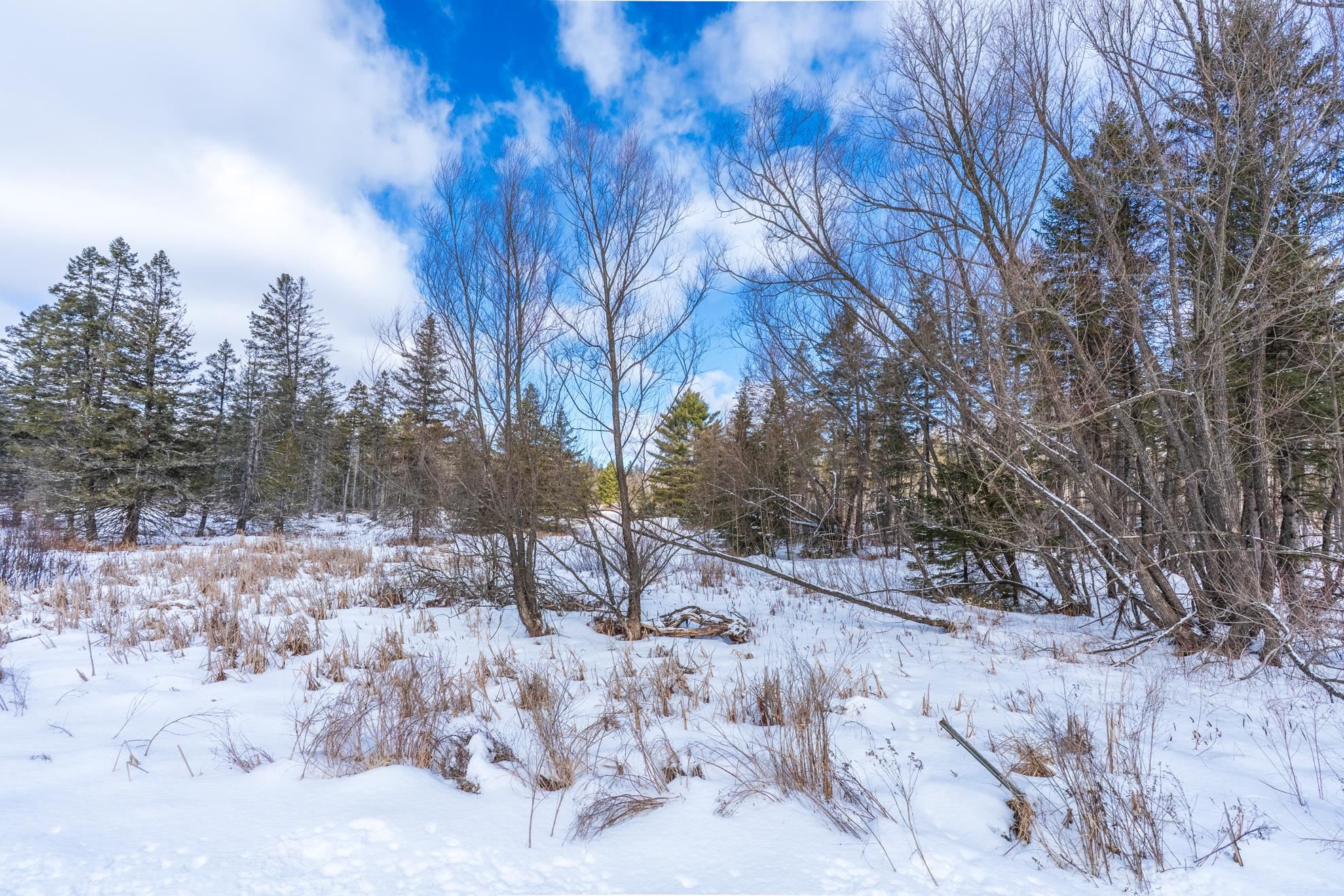 38.92 Acres COUNTY ROAD L, Athens, Wisconsin 54411, ,Land,For Sale,38.92 Acres COUNTY ROAD L,22600463