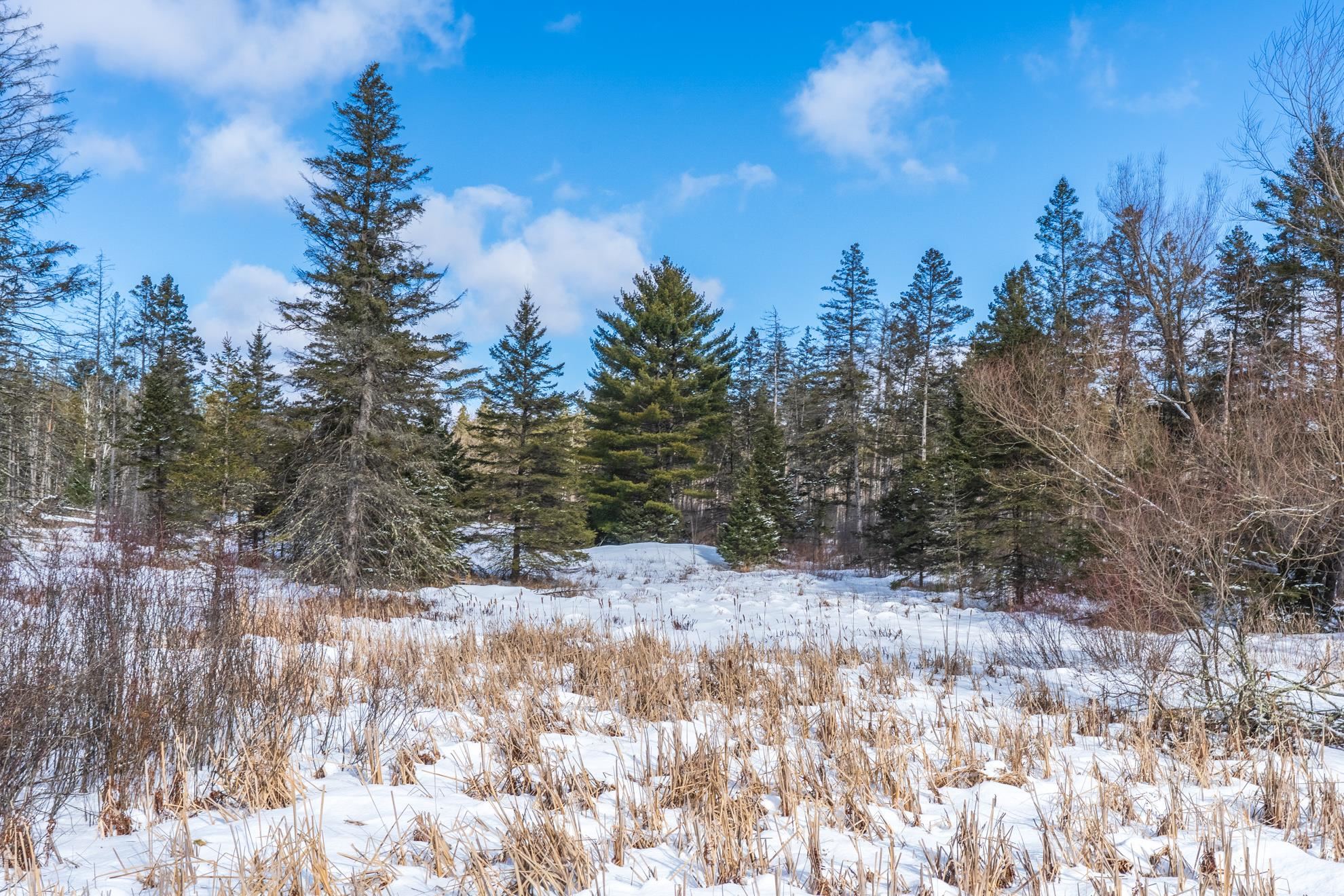 38.92 Acres COUNTY ROAD L, Athens, Wisconsin 54411, ,Land,For Sale,38.92 Acres COUNTY ROAD L,22600463