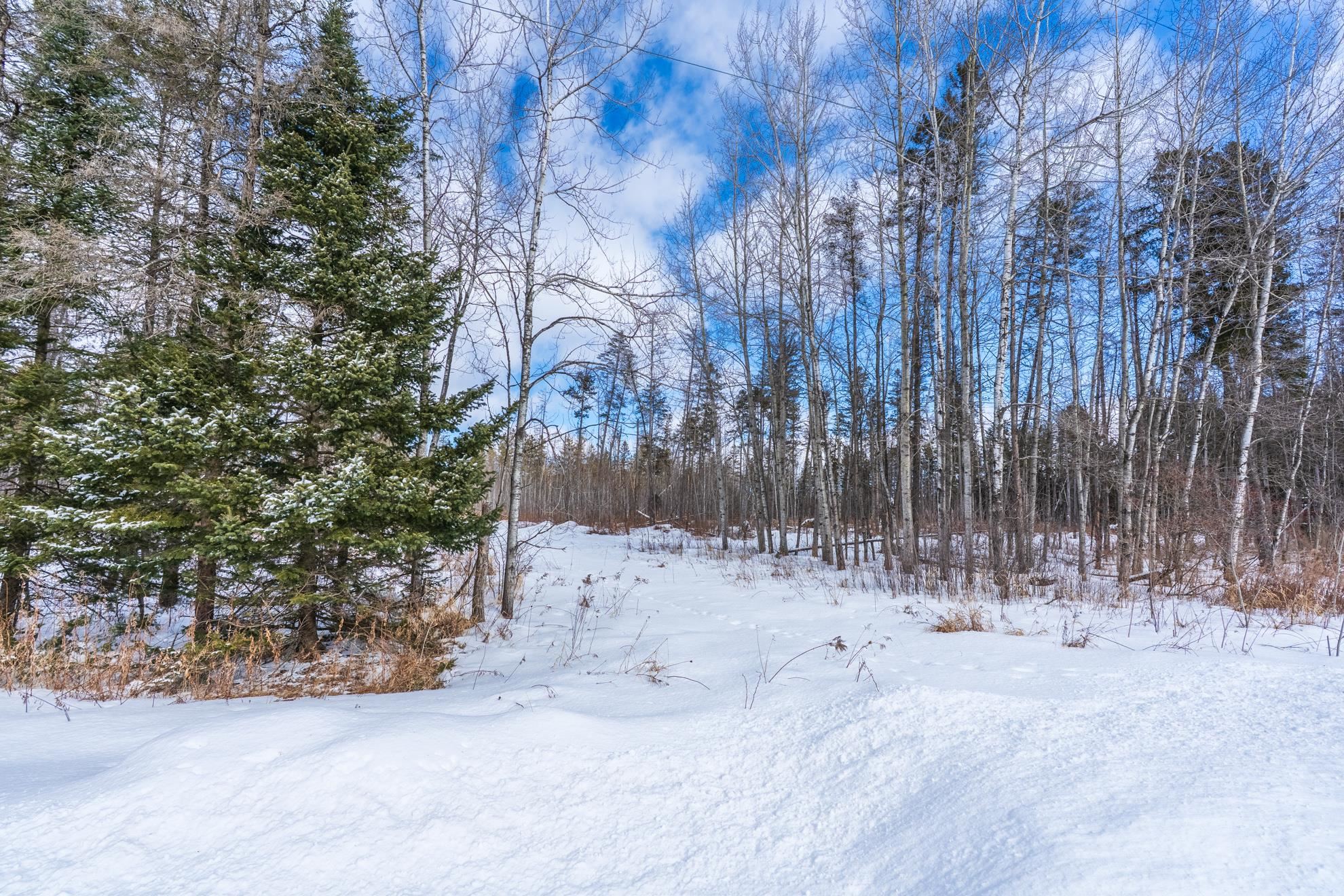 38.92 Acres COUNTY ROAD L, Athens, Wisconsin 54411, ,Land,For Sale,38.92 Acres COUNTY ROAD L,22600463