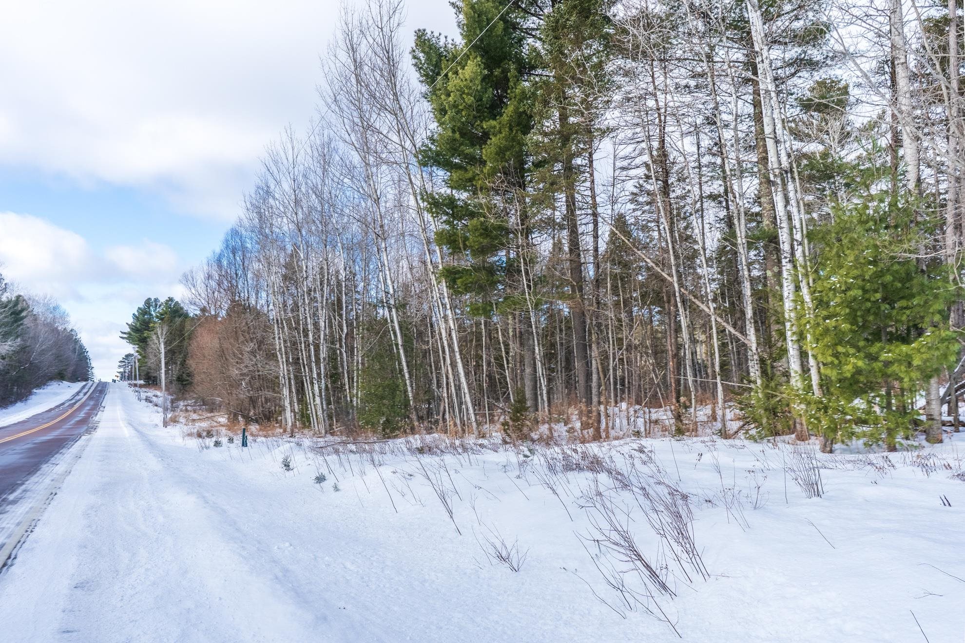 38.92 Acres COUNTY ROAD L, Athens, Wisconsin 54411, ,Land,For Sale,38.92 Acres COUNTY ROAD L,22600463