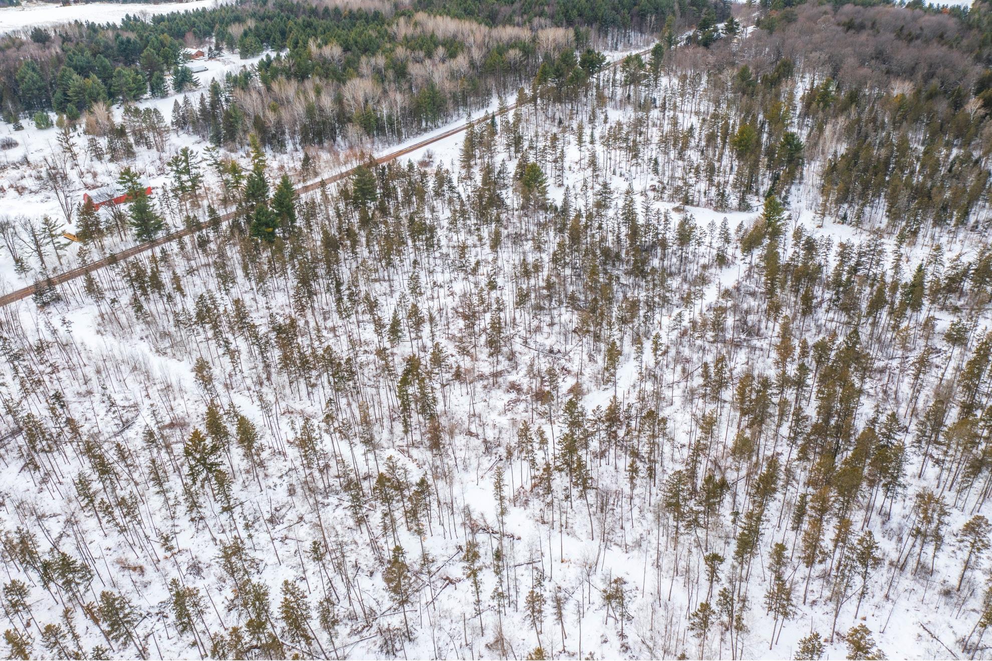 38.92 Acres COUNTY ROAD L, Athens, Wisconsin 54411, ,Land,For Sale,38.92 Acres COUNTY ROAD L,22600463