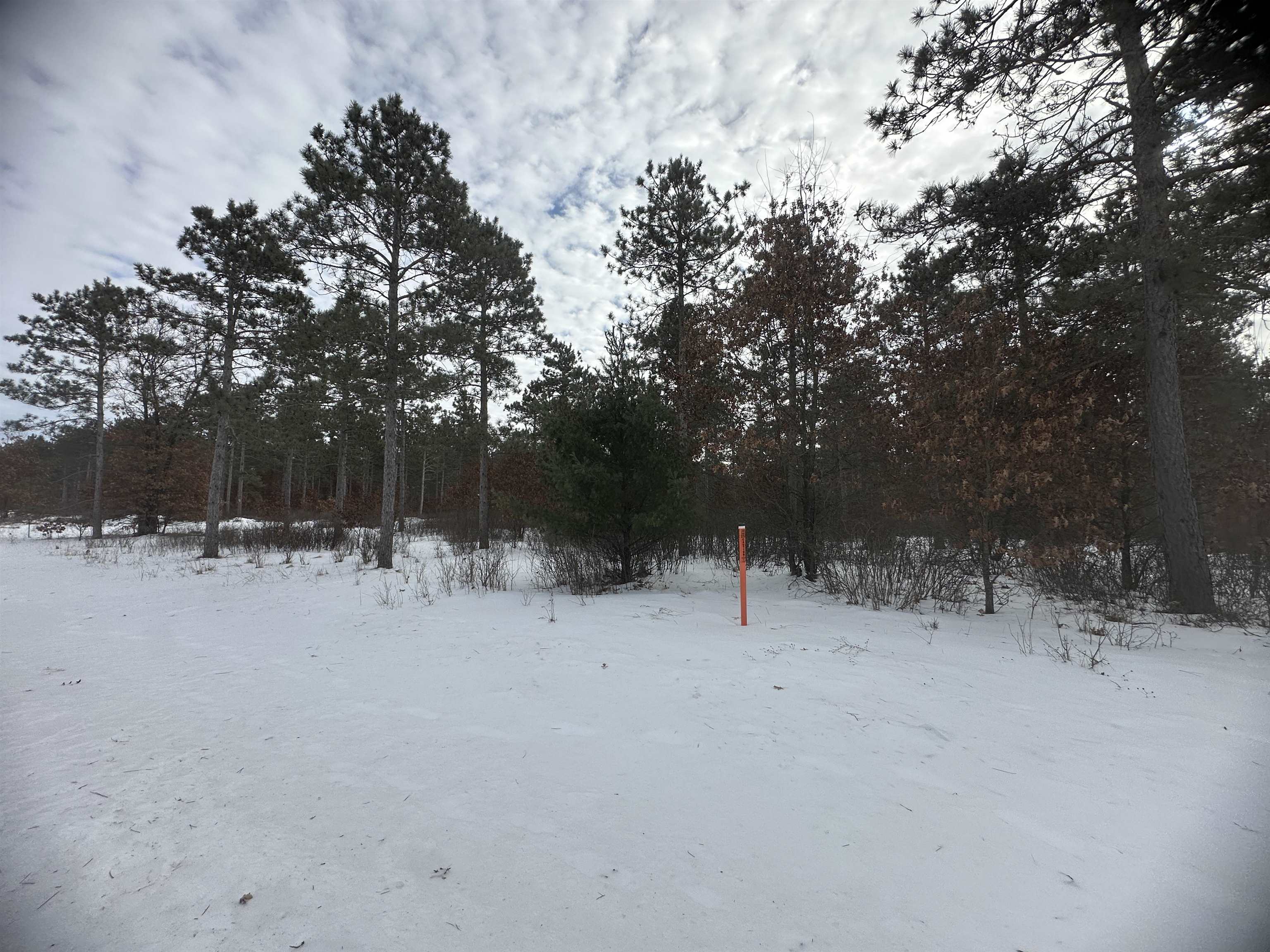Parc 1800455A TOWER ROAD, Wisconsin Rapids, Wisconsin 54494, ,Land,For Sale,Parc 1800455A TOWER ROAD,22600464