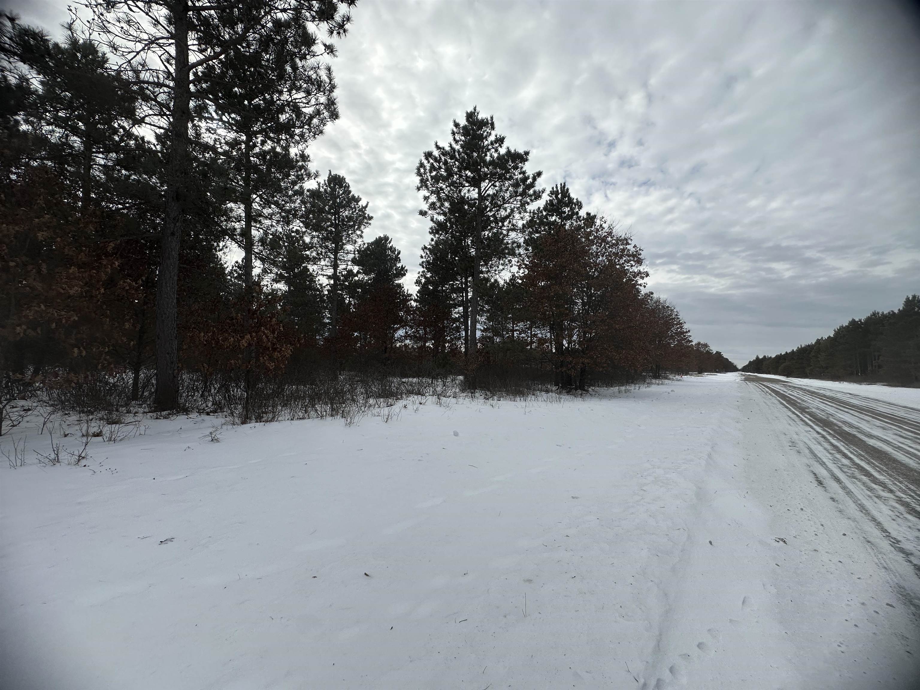 Parc 1800455A TOWER ROAD, Wisconsin Rapids, Wisconsin 54494, ,Land,For Sale,Parc 1800455A TOWER ROAD,22600464