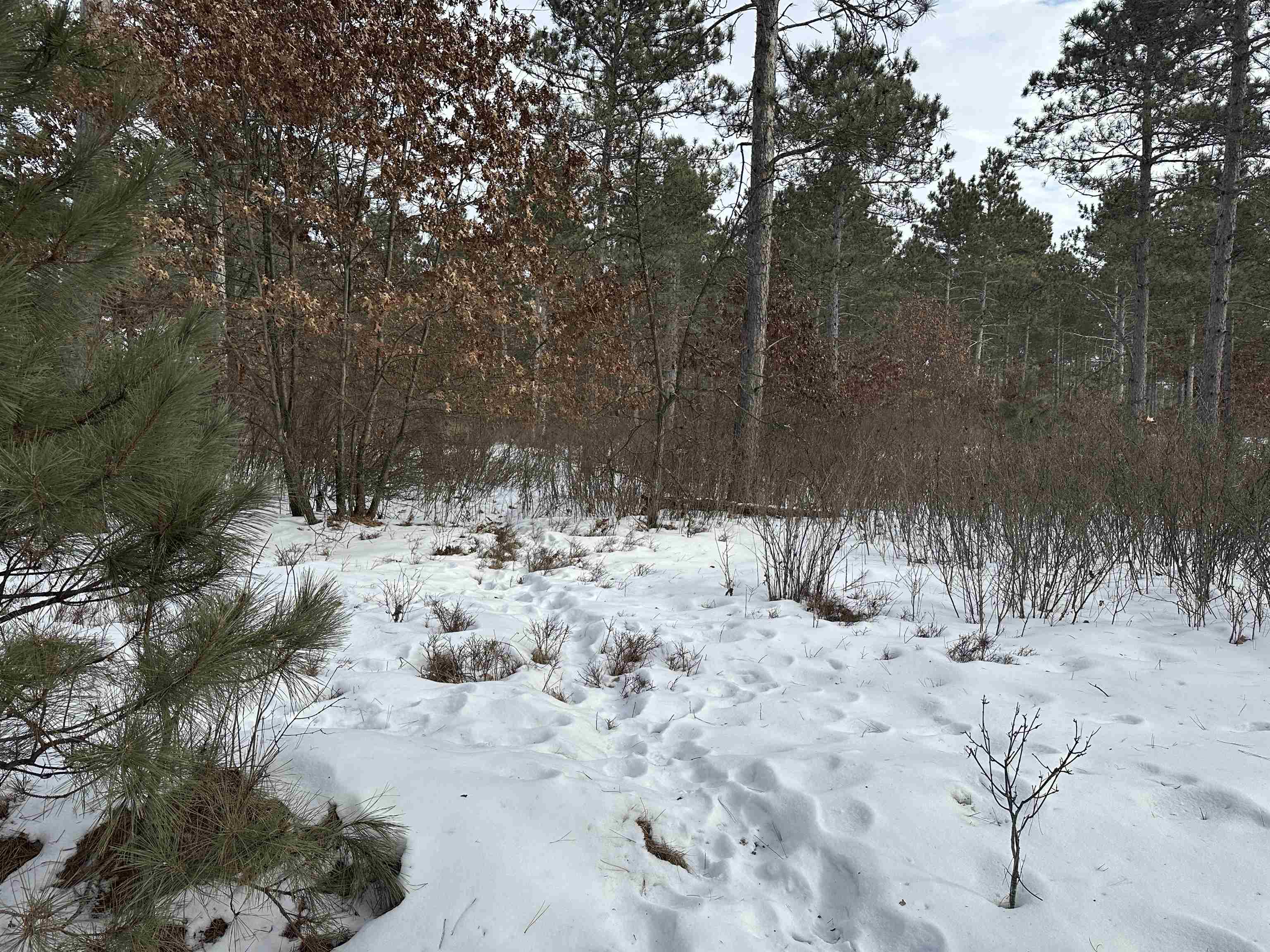 Parc 1800455A TOWER ROAD, Wisconsin Rapids, Wisconsin 54494, ,Land,For Sale,Parc 1800455A TOWER ROAD,22600464