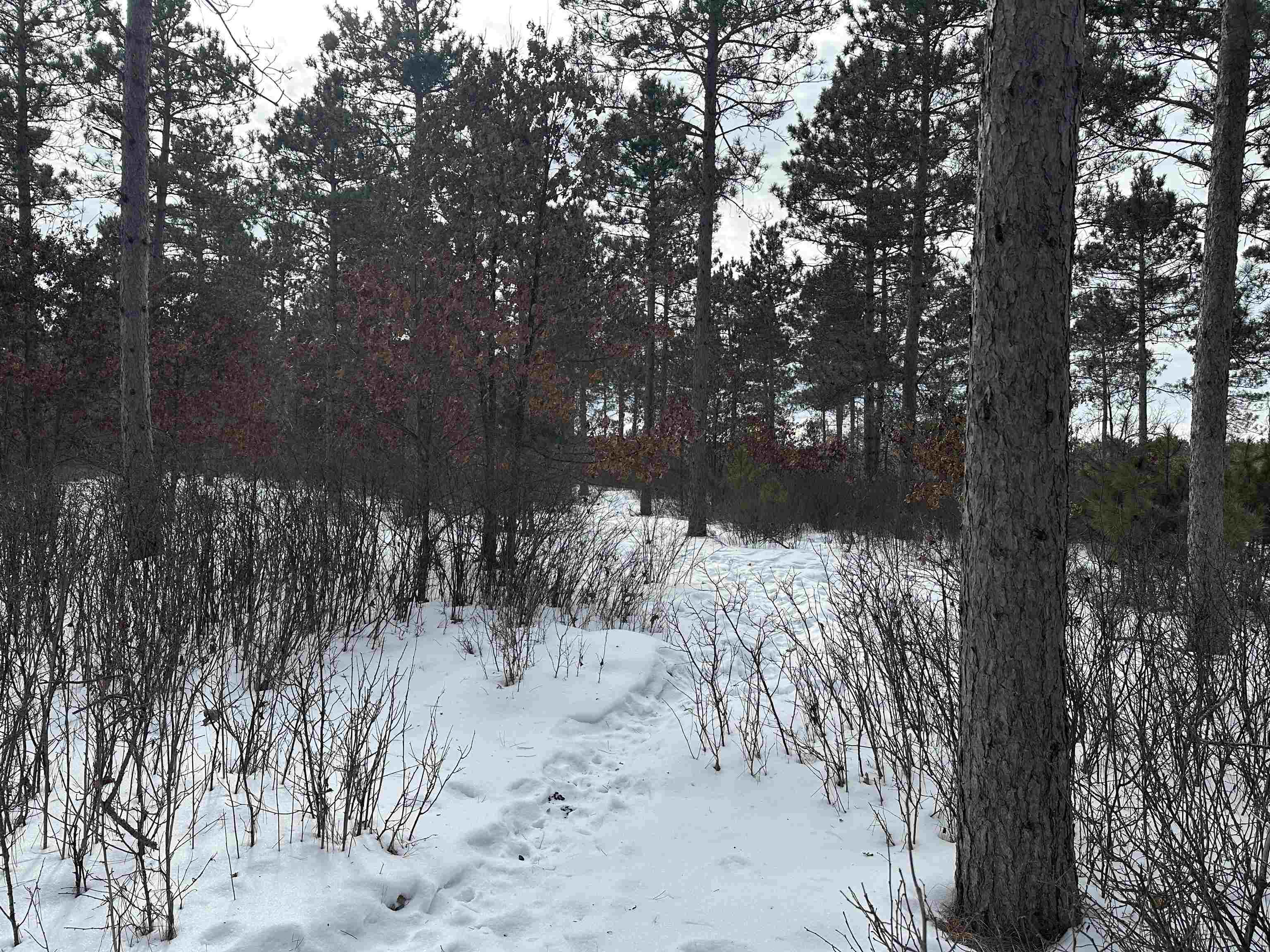 Parc 1800455A TOWER ROAD, Wisconsin Rapids, Wisconsin 54494, ,Land,For Sale,Parc 1800455A TOWER ROAD,22600464