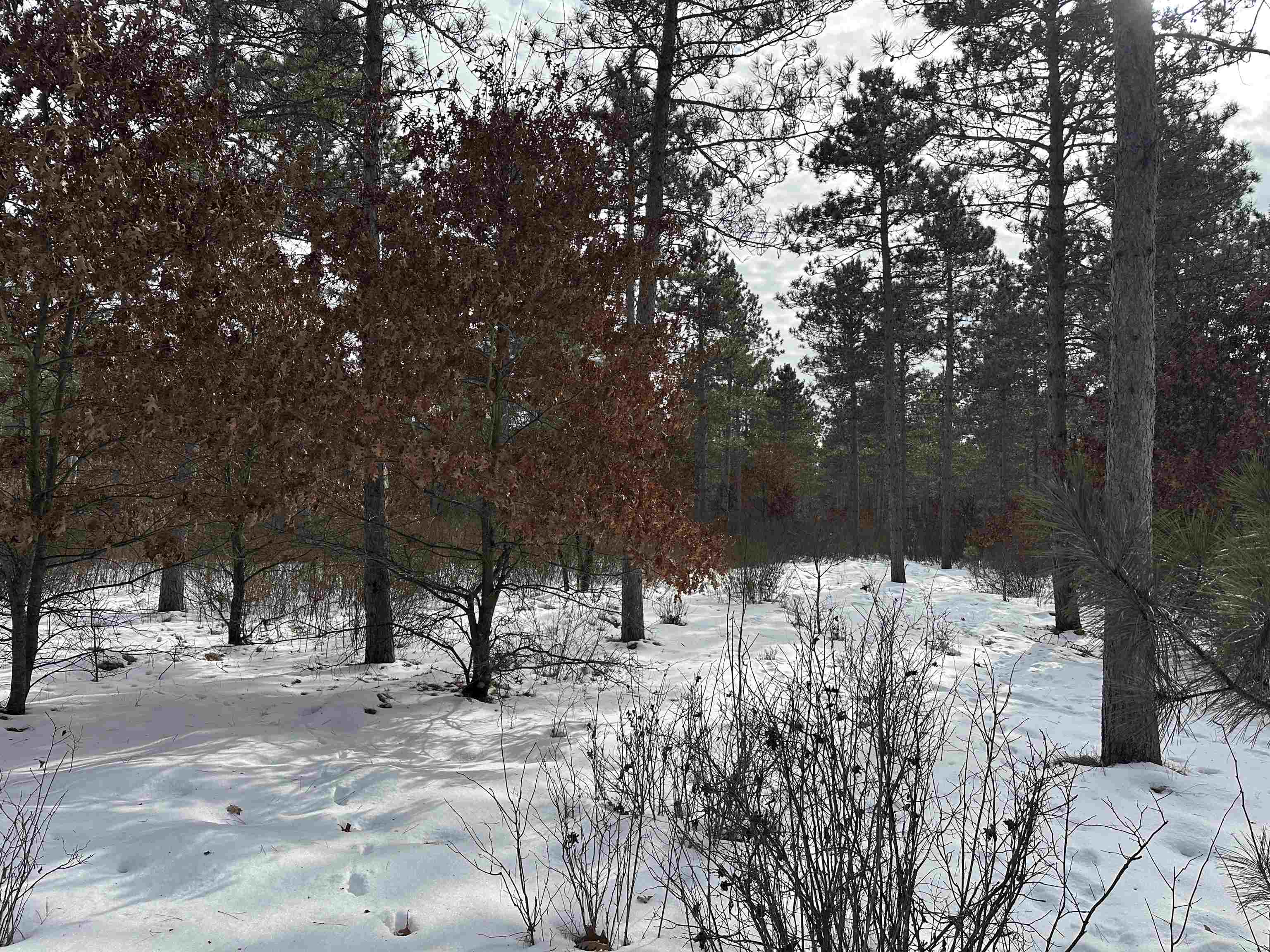 Parc 1800455A TOWER ROAD, Wisconsin Rapids, Wisconsin 54494, ,Land,For Sale,Parc 1800455A TOWER ROAD,22600464