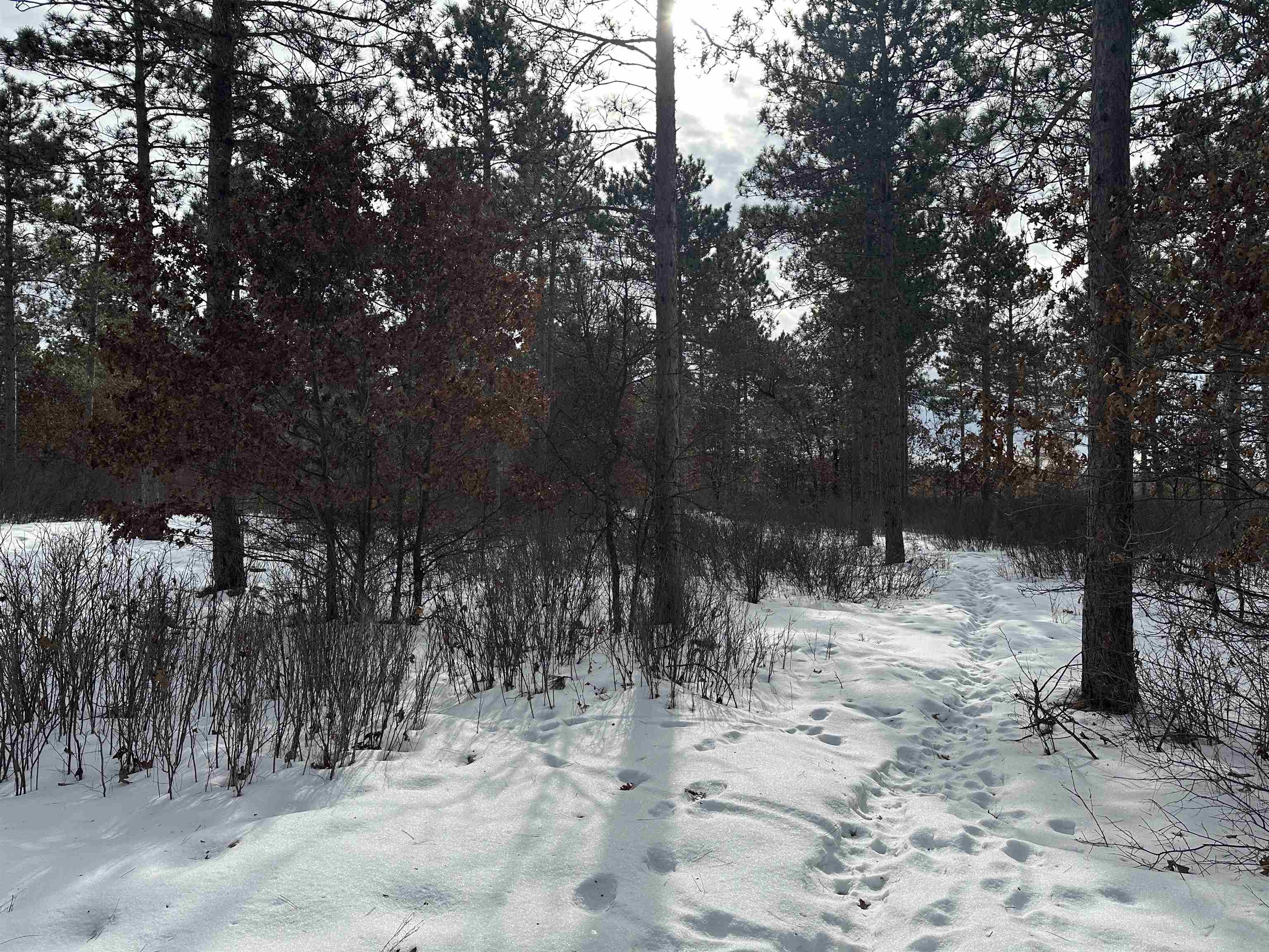 Parc 1800455A TOWER ROAD, Wisconsin Rapids, Wisconsin 54494, ,Land,For Sale,Parc 1800455A TOWER ROAD,22600464