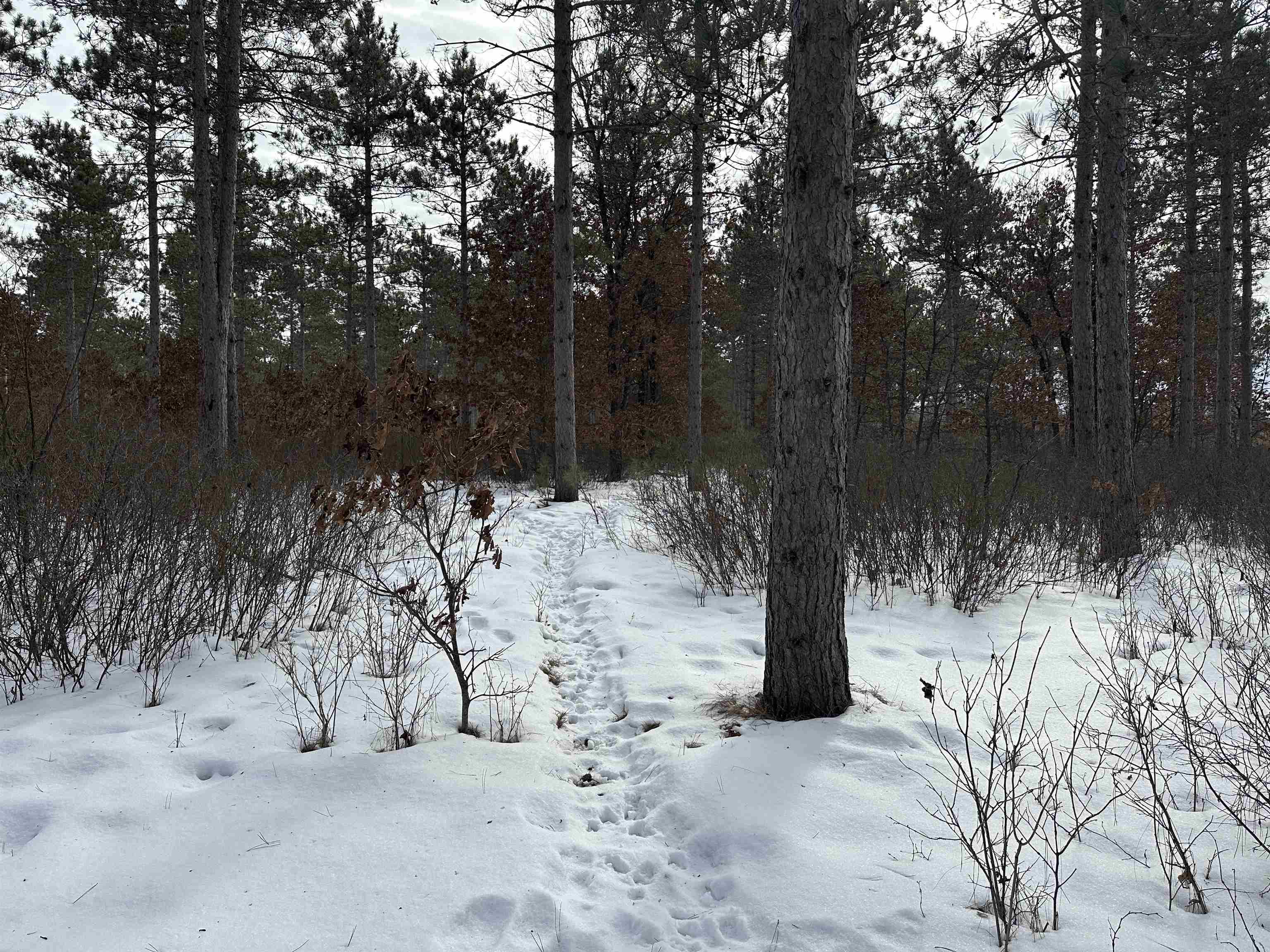 Parc 1800455A TOWER ROAD, Wisconsin Rapids, Wisconsin 54494, ,Land,For Sale,Parc 1800455A TOWER ROAD,22600464