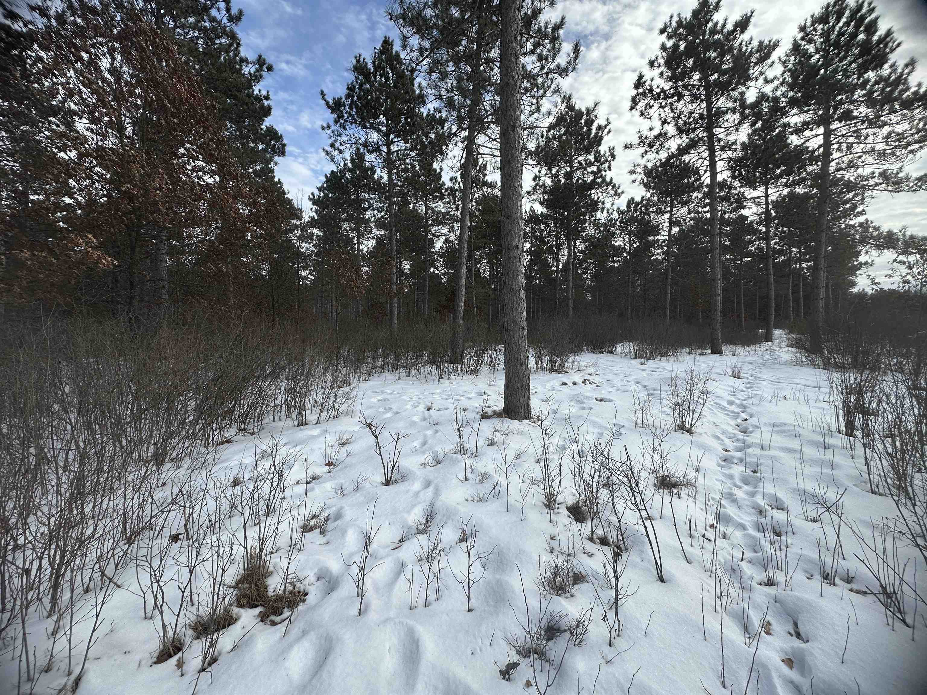 Parc 1800455A TOWER ROAD, Wisconsin Rapids, Wisconsin 54494, ,Land,For Sale,Parc 1800455A TOWER ROAD,22600464