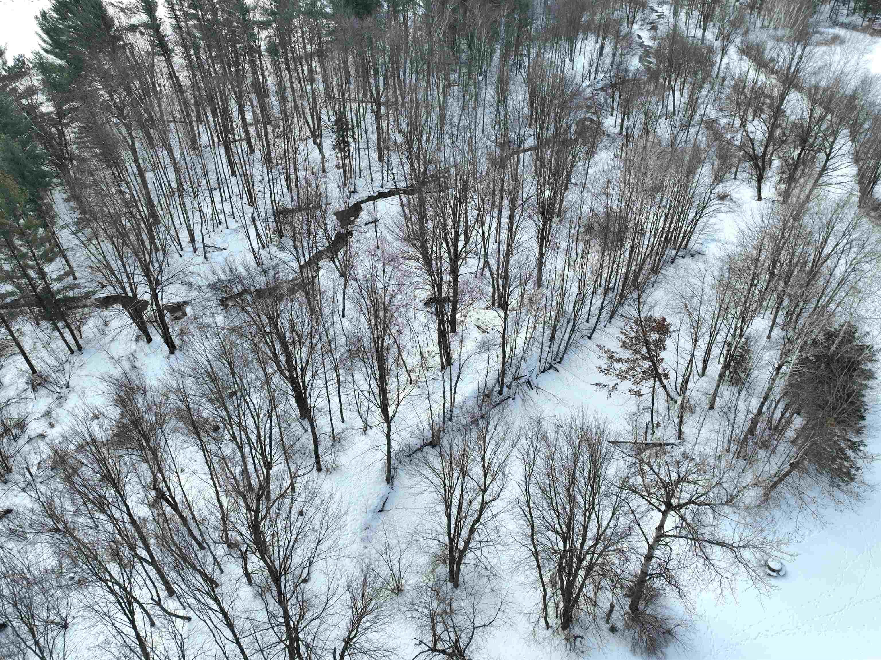 2180 BLUEJAY LANE, Kronenwetter, Wisconsin 54455, 3 Bedrooms Bedrooms, ,3 BathroomsBathrooms,Residential,For Sale,2180 BLUEJAY LANE,22600466