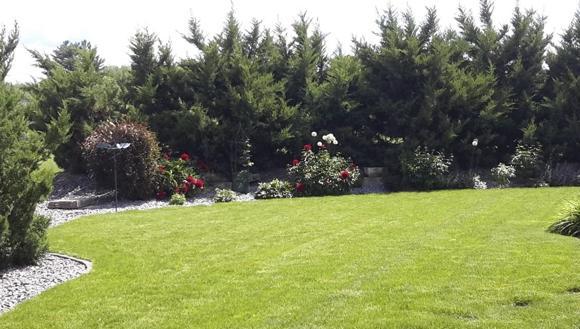 1540 E 20TH STREET, Marshfield, Wisconsin 54449, 3 Bedrooms Bedrooms, ,3 BathroomsBathrooms,Residential,For Sale,1540 E 20TH STREET,22600467