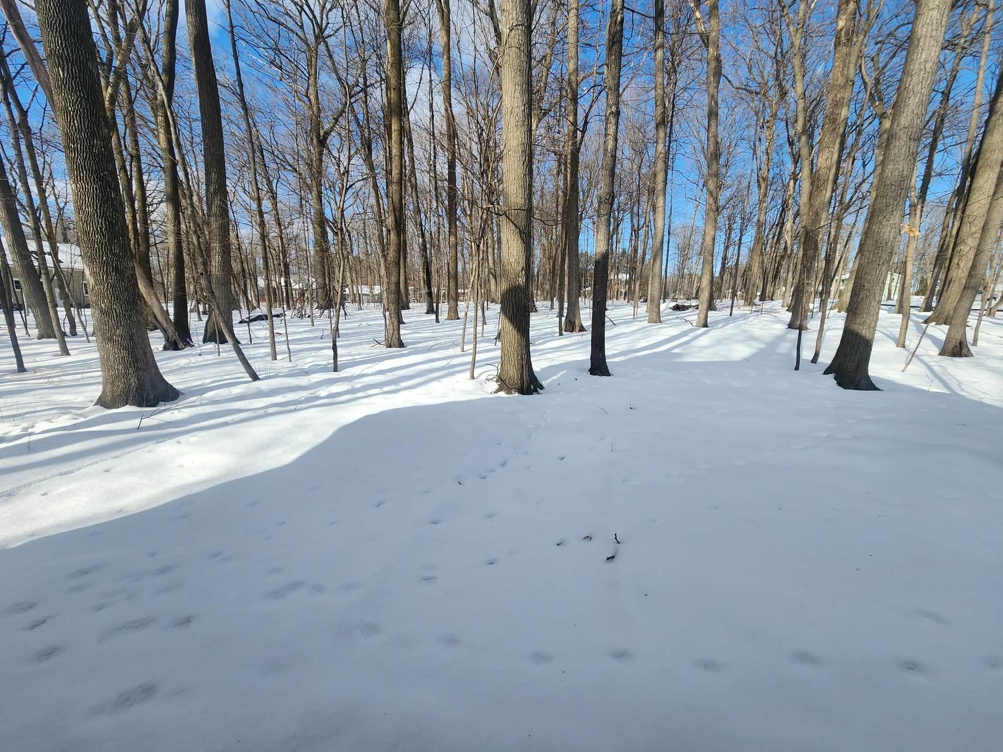 1601 W ARLINGTON STREET, Marshfield, Wisconsin 54449, 4 Bedrooms Bedrooms, ,2 BathroomsBathrooms,Residential,For Sale,1601 W ARLINGTON STREET,22600469