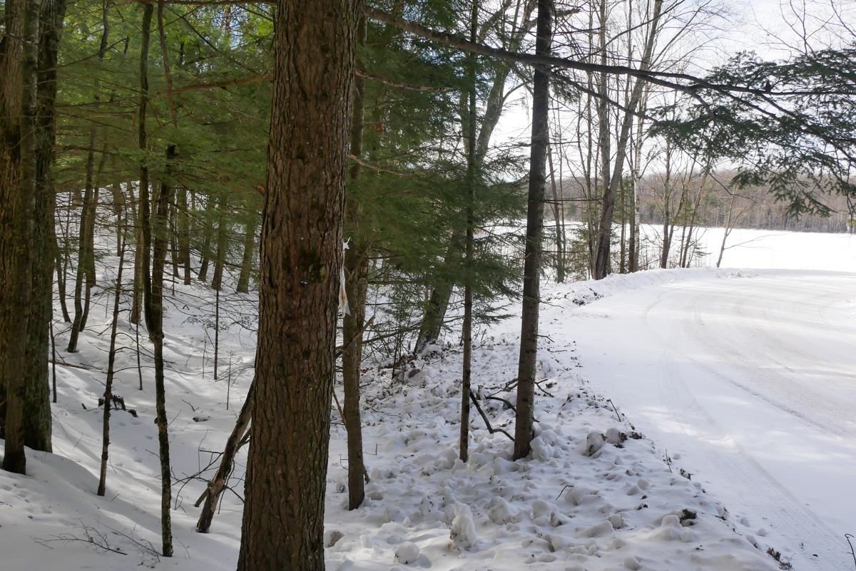 +/-.757 Acres SALEM LAKE ROAD, Medford, Wisconsin 54451, ,Land,For Sale,+/-.757 Acres SALEM LAKE ROAD,22600471