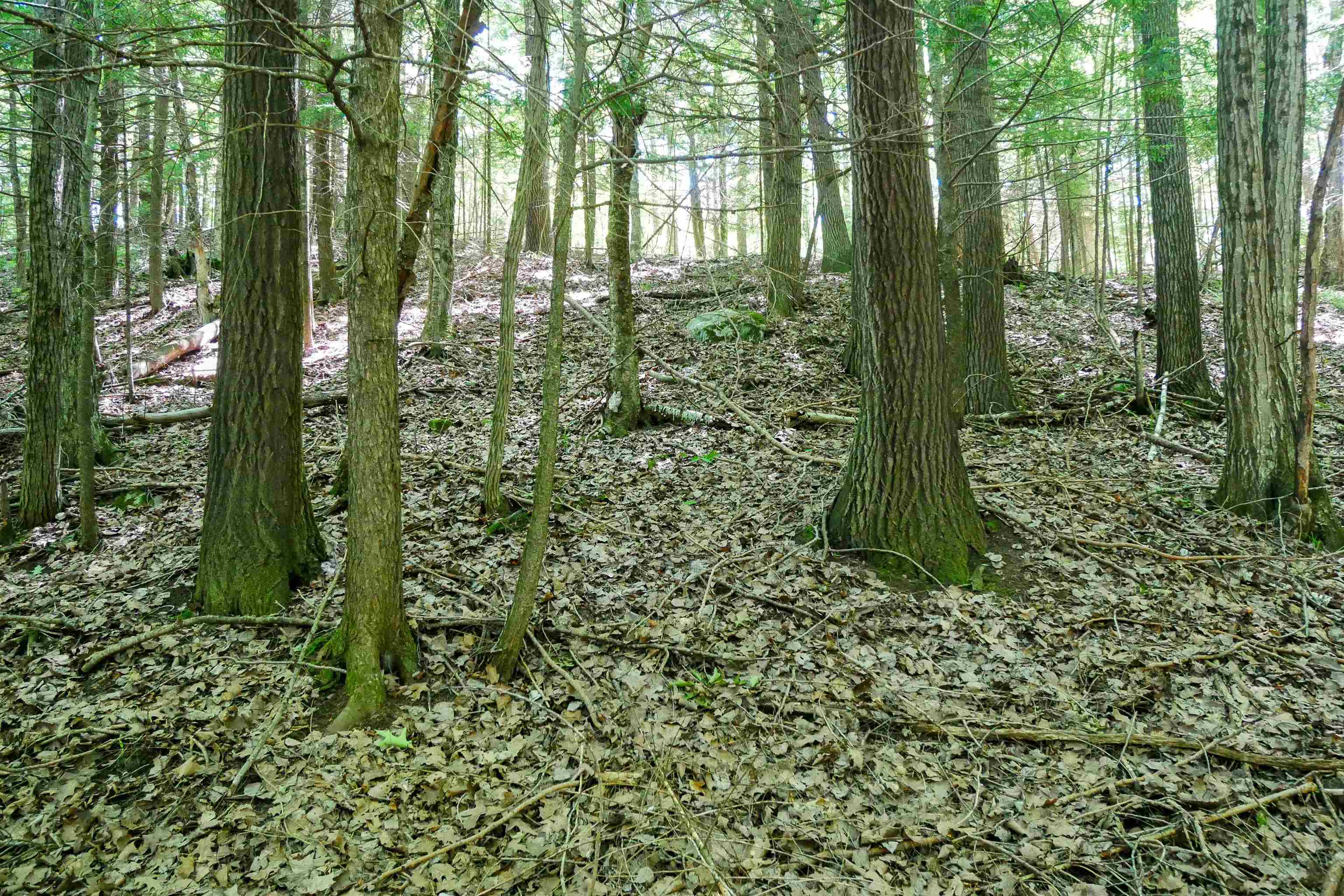 Aprx .757 Acres SALEM LAKE ROAD, Medford, Wisconsin 54451, ,Land,For Sale,Aprx .757 Acres SALEM LAKE ROAD,22600471