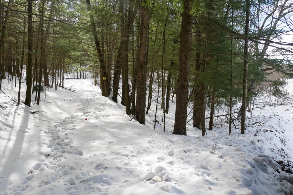 +/-.757 Acres SALEM LAKE ROAD, Medford, Wisconsin 54451, ,Land,For Sale,+/-.757 Acres SALEM LAKE ROAD,22600471