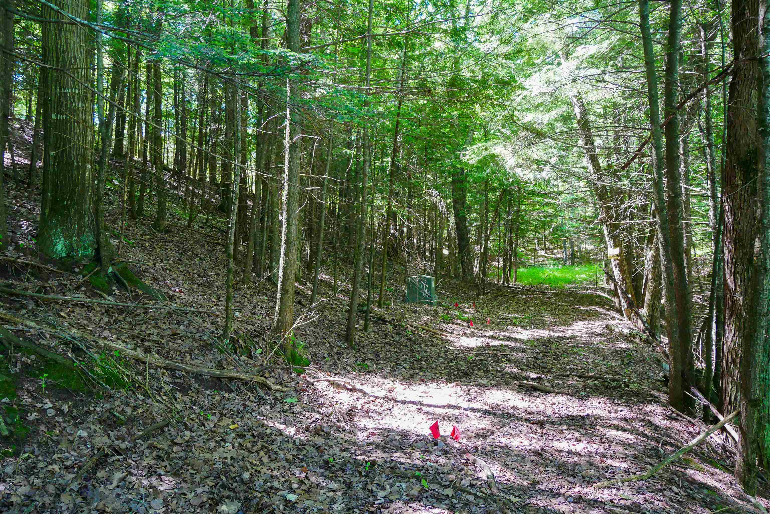 Aprx .757 Acres SALEM LAKE ROAD, Medford, Wisconsin 54451, ,Land,For Sale,Aprx .757 Acres SALEM LAKE ROAD,22600471