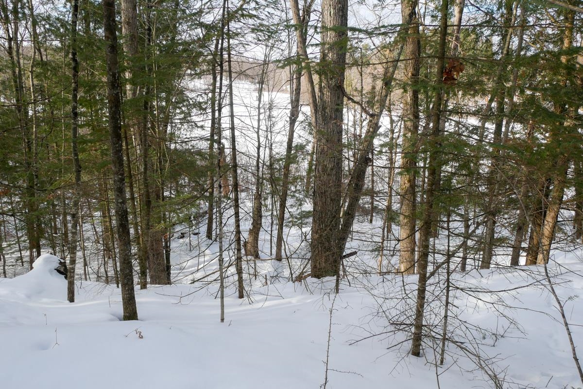 +/-.757 Acres SALEM LAKE ROAD, Medford, Wisconsin 54451, ,Land,For Sale,+/-.757 Acres SALEM LAKE ROAD,22600471