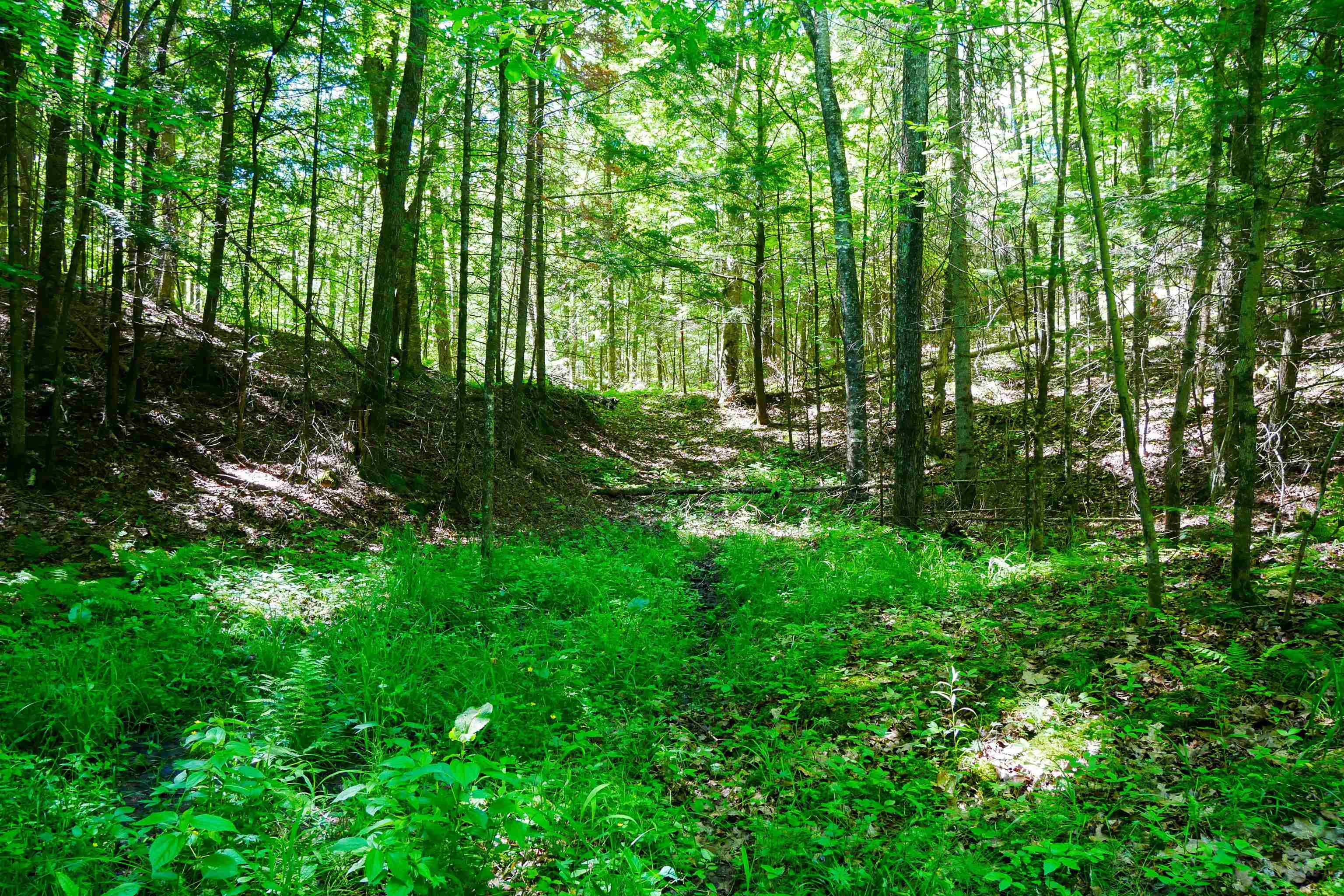 Aprx .757 Acres SALEM LAKE ROAD, Medford, Wisconsin 54451, ,Land,For Sale,Aprx .757 Acres SALEM LAKE ROAD,22600471
