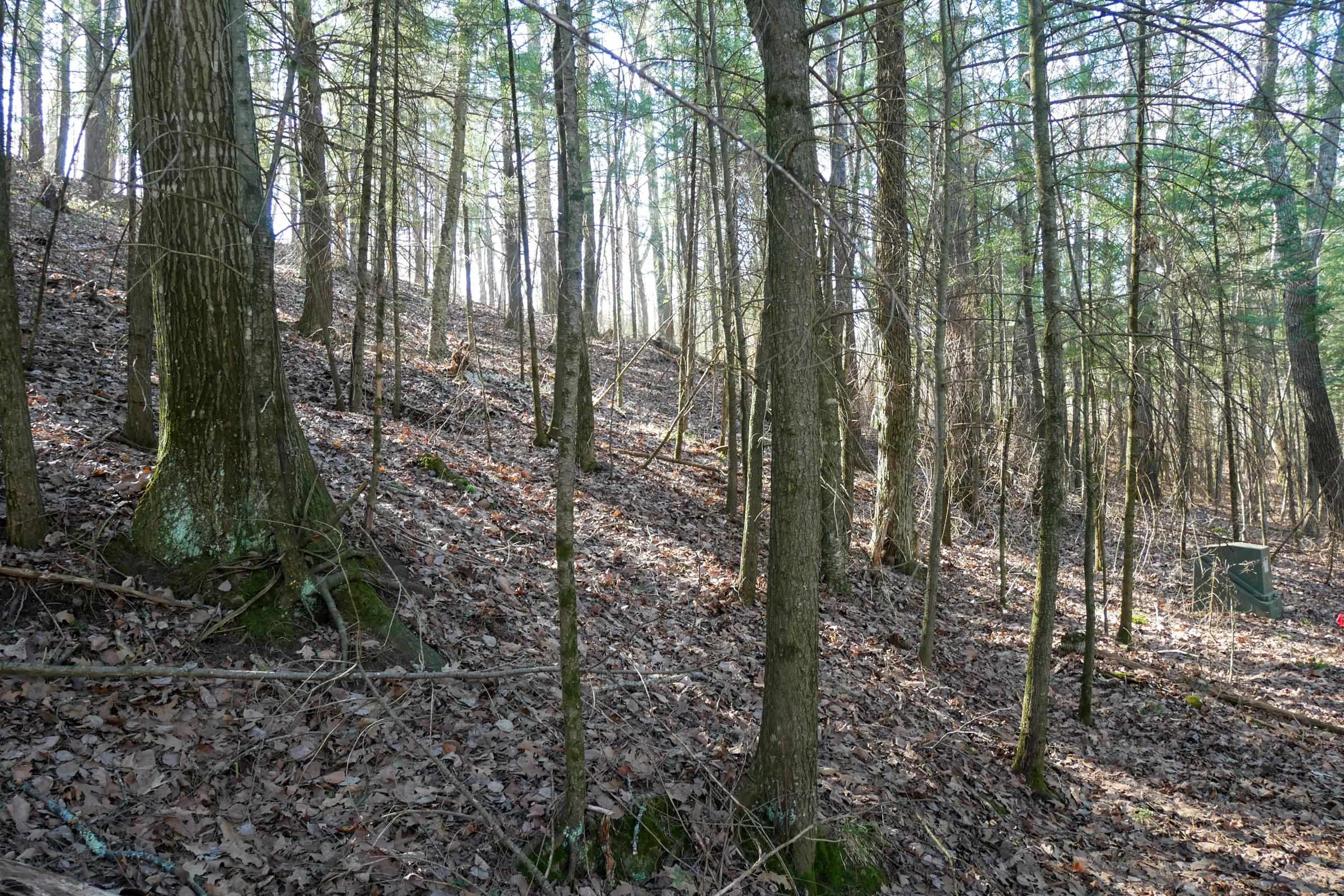 +/-.757 Acres SALEM LAKE ROAD, Medford, Wisconsin 54451, ,Land,For Sale,+/-.757 Acres SALEM LAKE ROAD,22600471