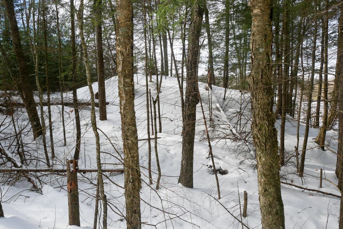+/-.757 Acres SALEM LAKE ROAD, Medford, Wisconsin 54451, ,Land,For Sale,+/-.757 Acres SALEM LAKE ROAD,22600471