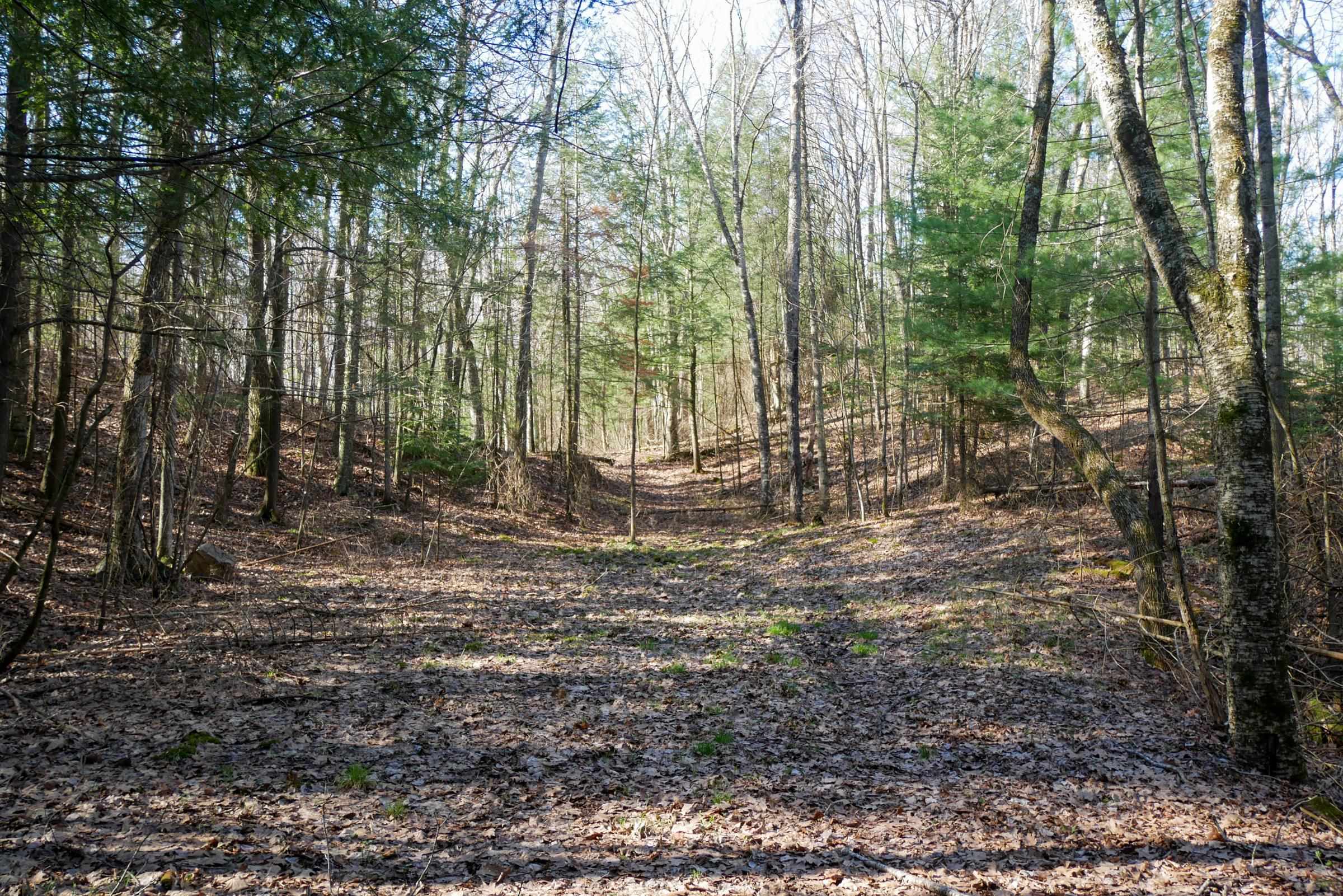 +/-.757 Acres SALEM LAKE ROAD, Medford, Wisconsin 54451, ,Land,For Sale,+/-.757 Acres SALEM LAKE ROAD,22600471