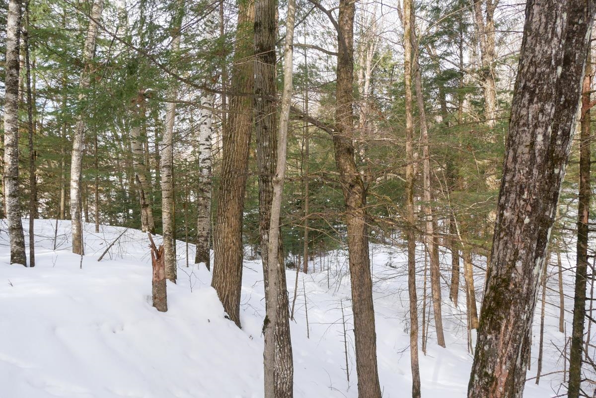 +/-.757 Acres SALEM LAKE ROAD, Medford, Wisconsin 54451, ,Land,For Sale,+/-.757 Acres SALEM LAKE ROAD,22600471