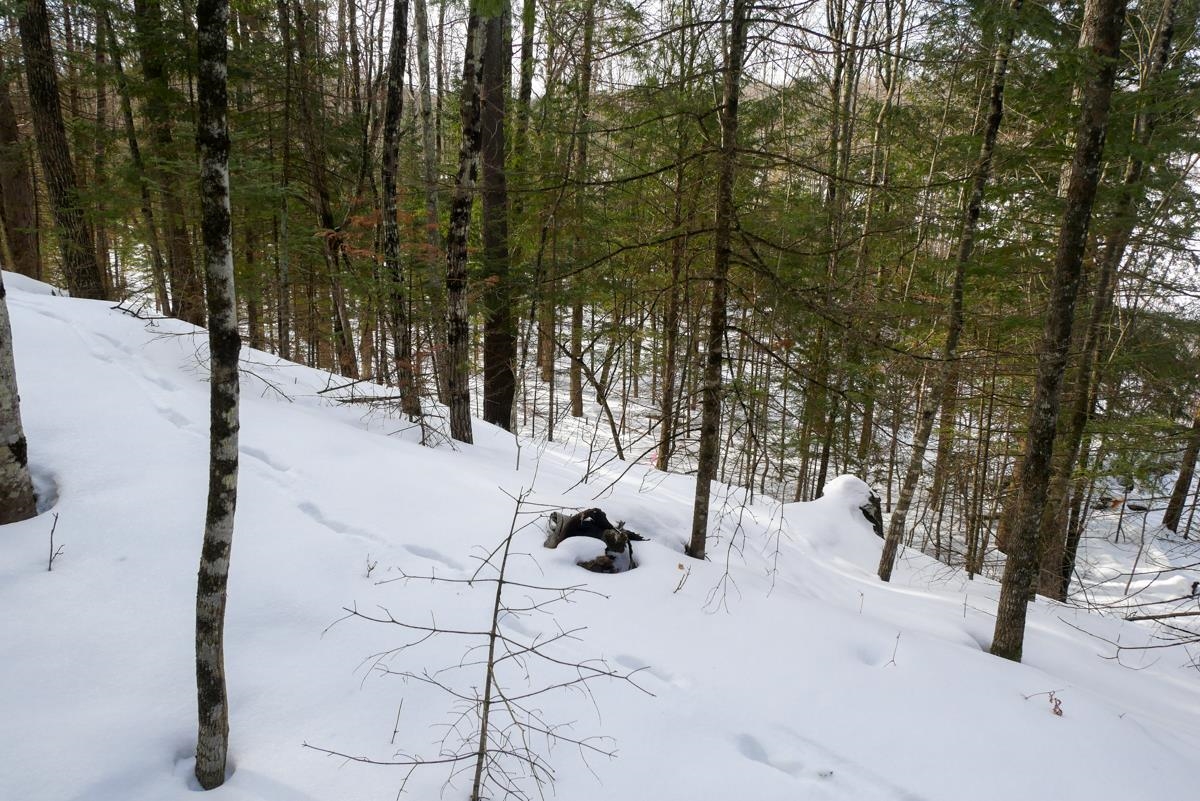 +/-.757 Acres SALEM LAKE ROAD, Medford, Wisconsin 54451, ,Land,For Sale,+/-.757 Acres SALEM LAKE ROAD,22600471