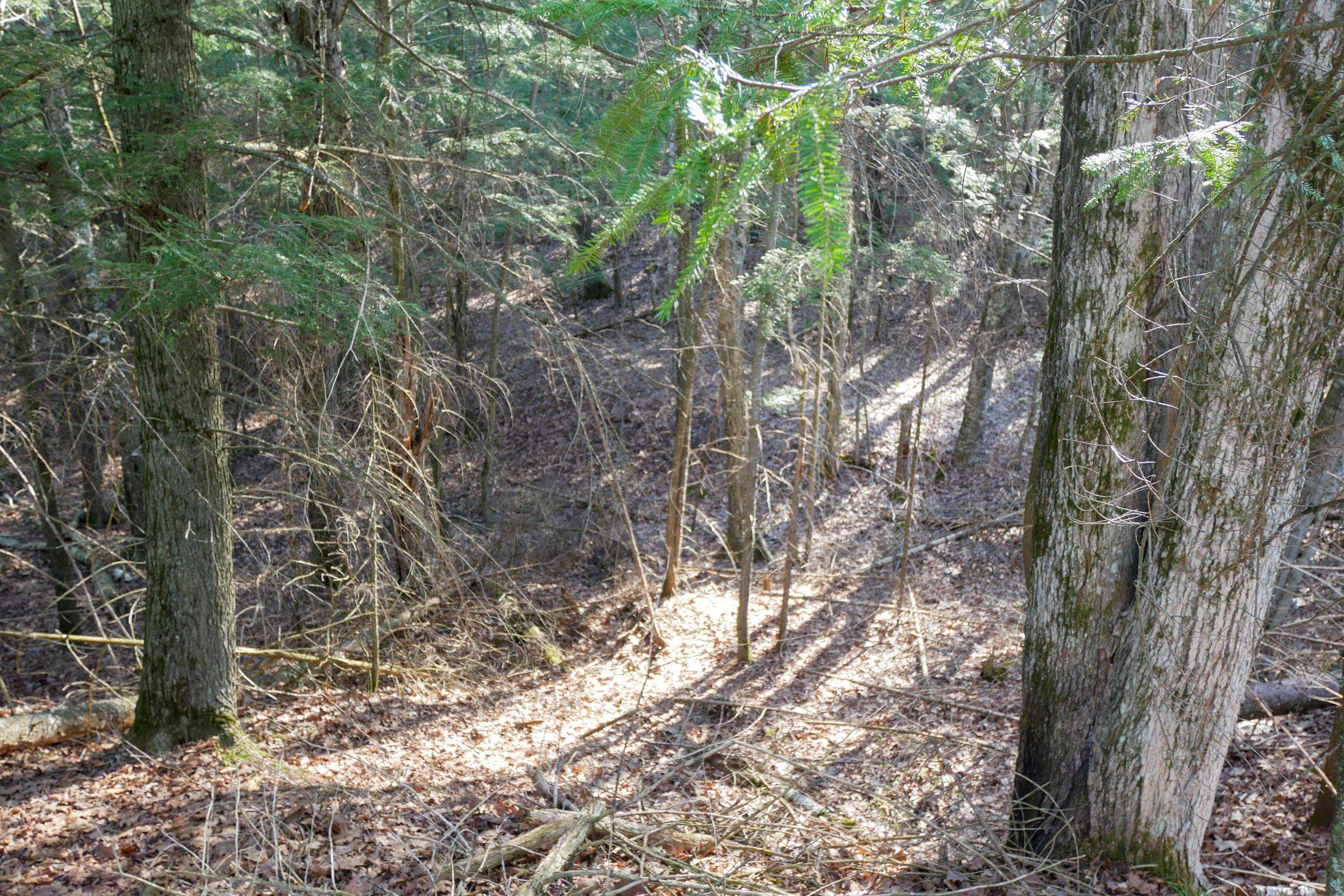 +/-.757 Acres SALEM LAKE ROAD, Medford, Wisconsin 54451, ,Land,For Sale,+/-.757 Acres SALEM LAKE ROAD,22600471