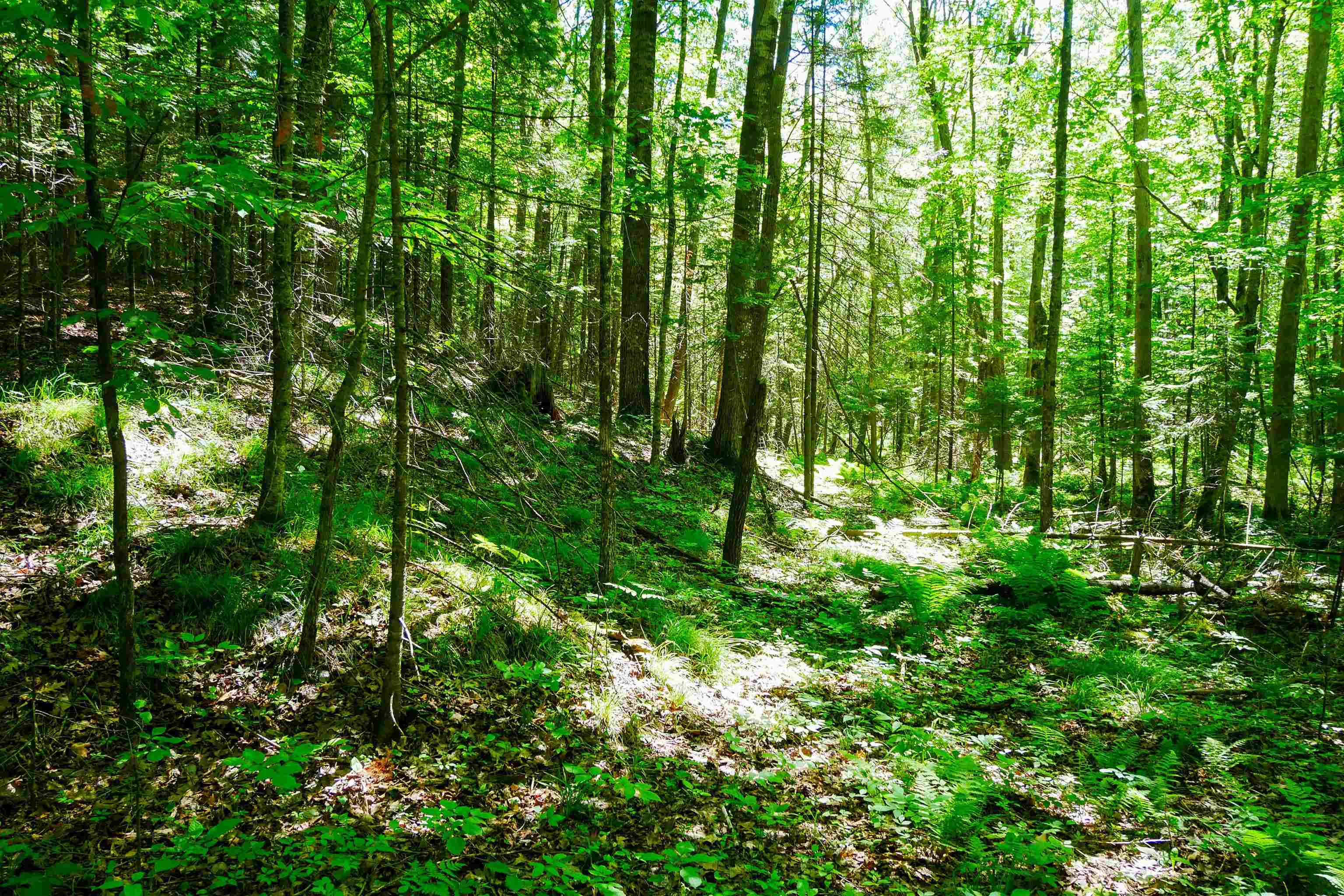 Aprx .757 Acres SALEM LAKE ROAD, Medford, Wisconsin 54451, ,Land,For Sale,Aprx .757 Acres SALEM LAKE ROAD,22600471