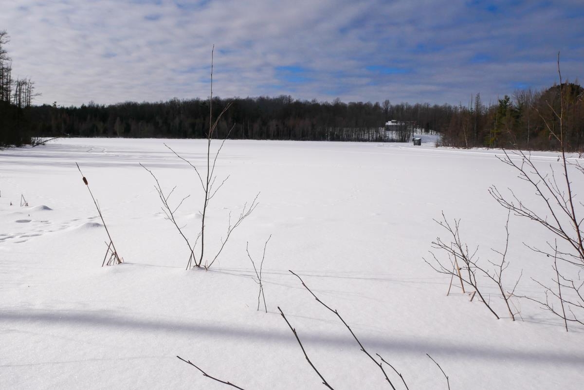 +/-.757 Acres SALEM LAKE ROAD, Medford, Wisconsin 54451, ,Land,For Sale,+/-.757 Acres SALEM LAKE ROAD,22600471